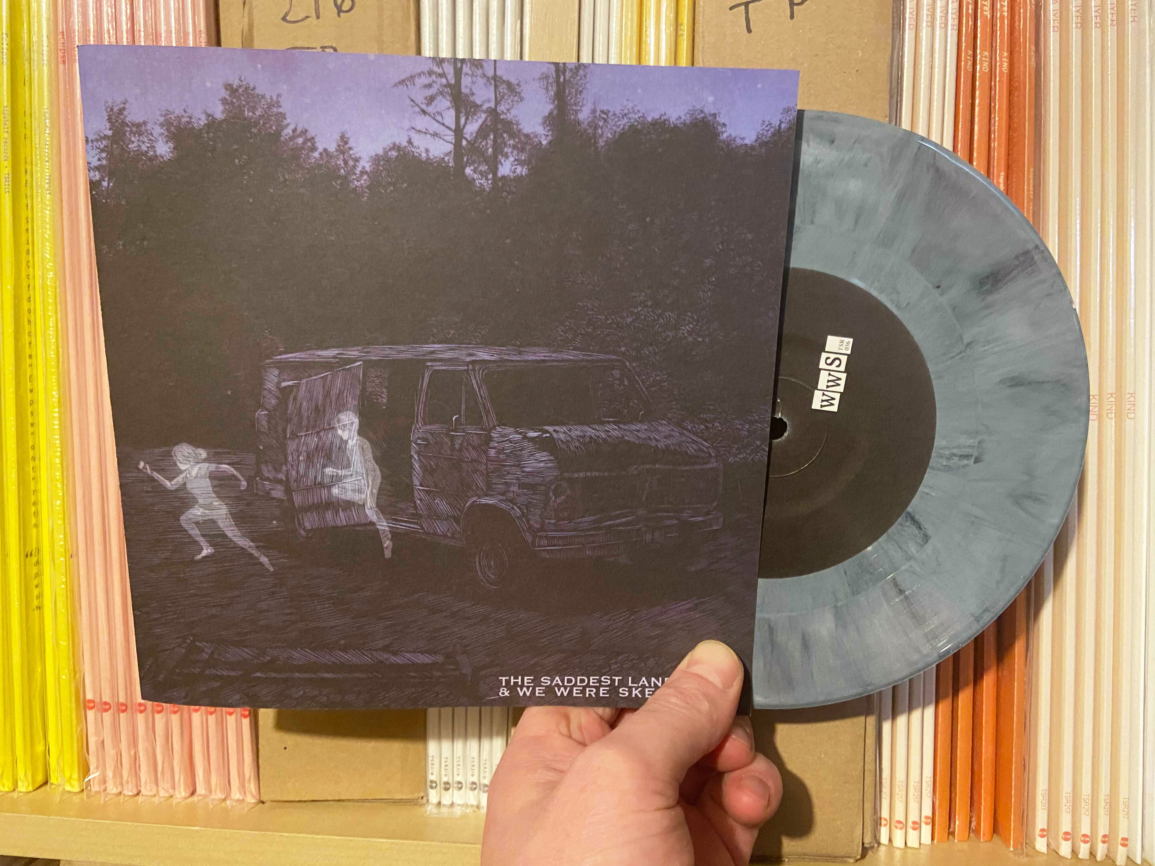 Product shots of The Saddest Landscape / We Were Skeletons - Split EP