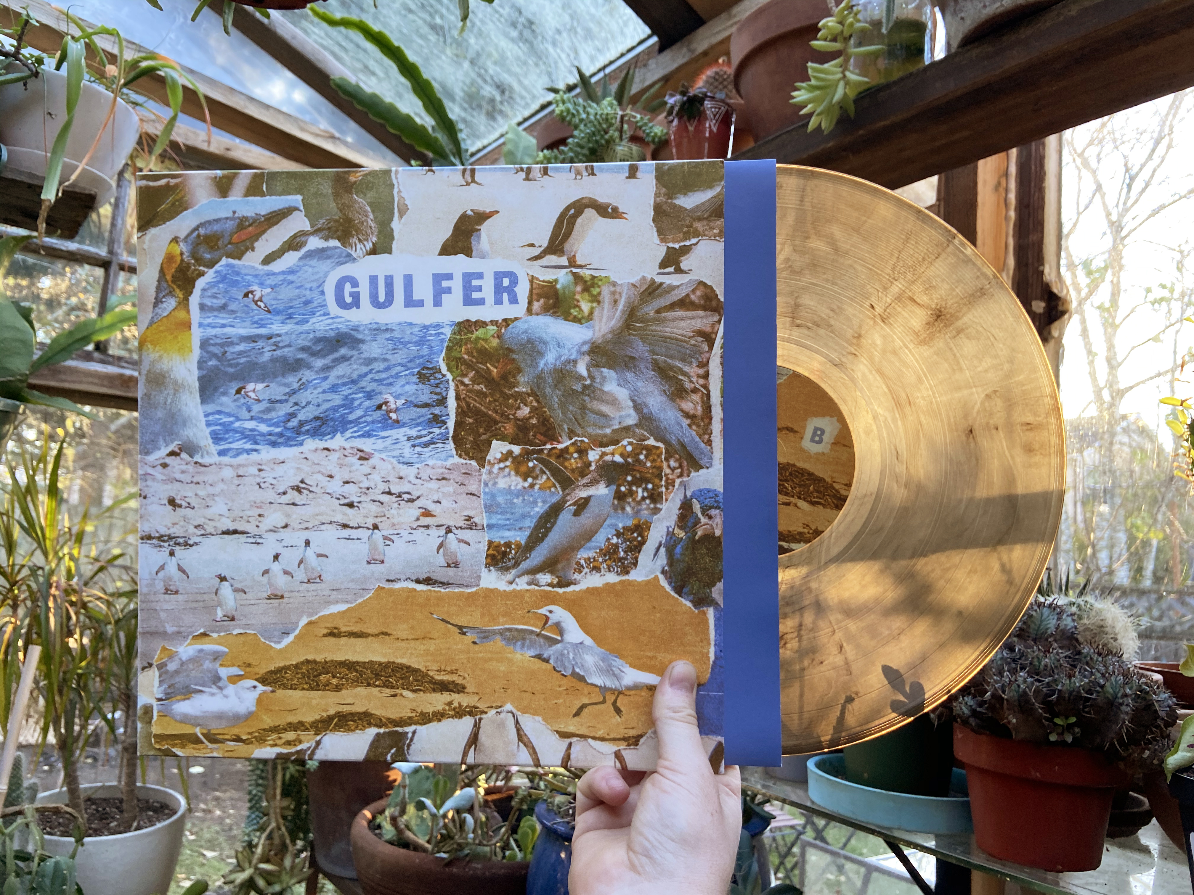 Product shots of Gulfer - S/T