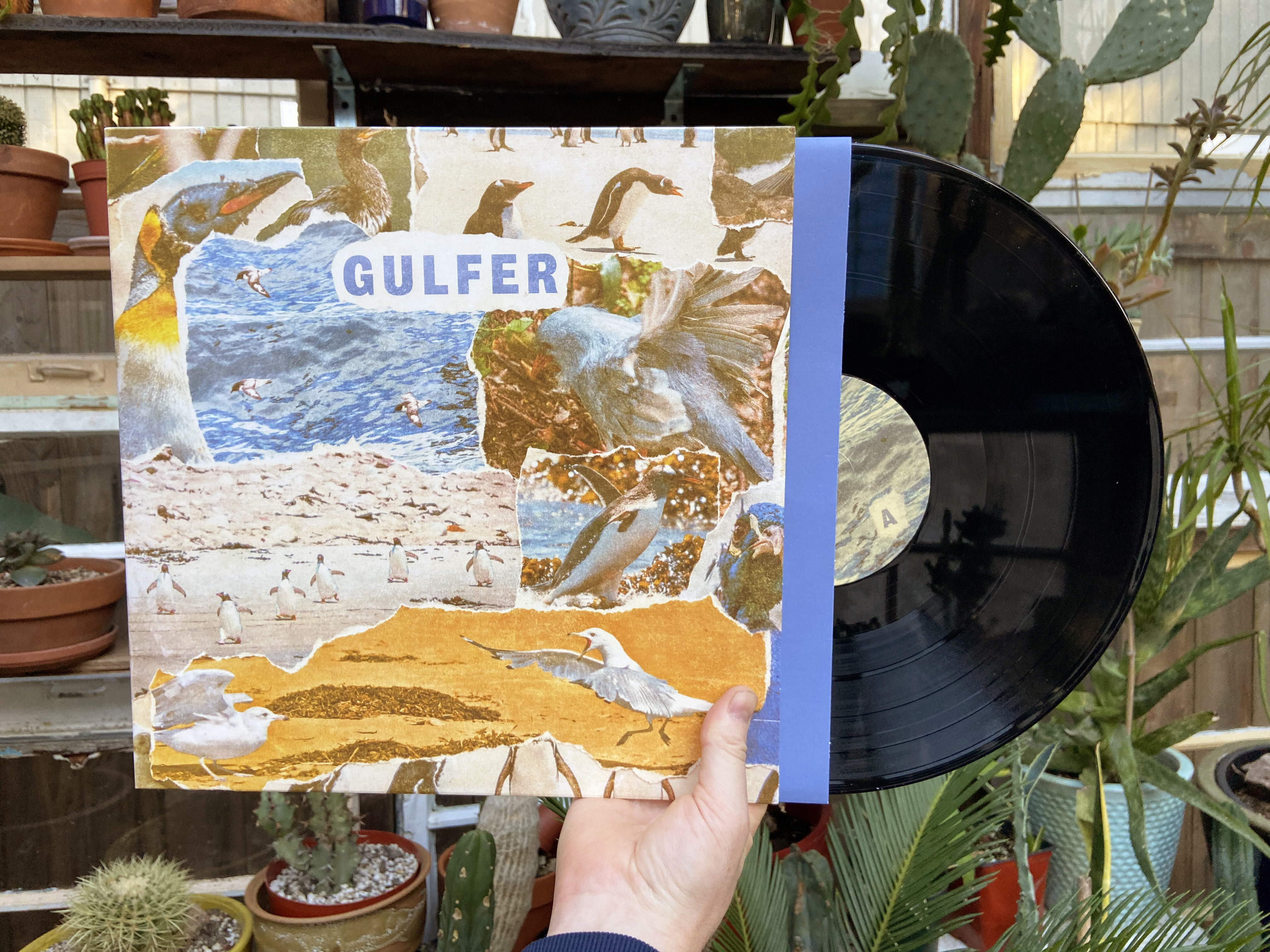 Product shots of Gulfer - S/T