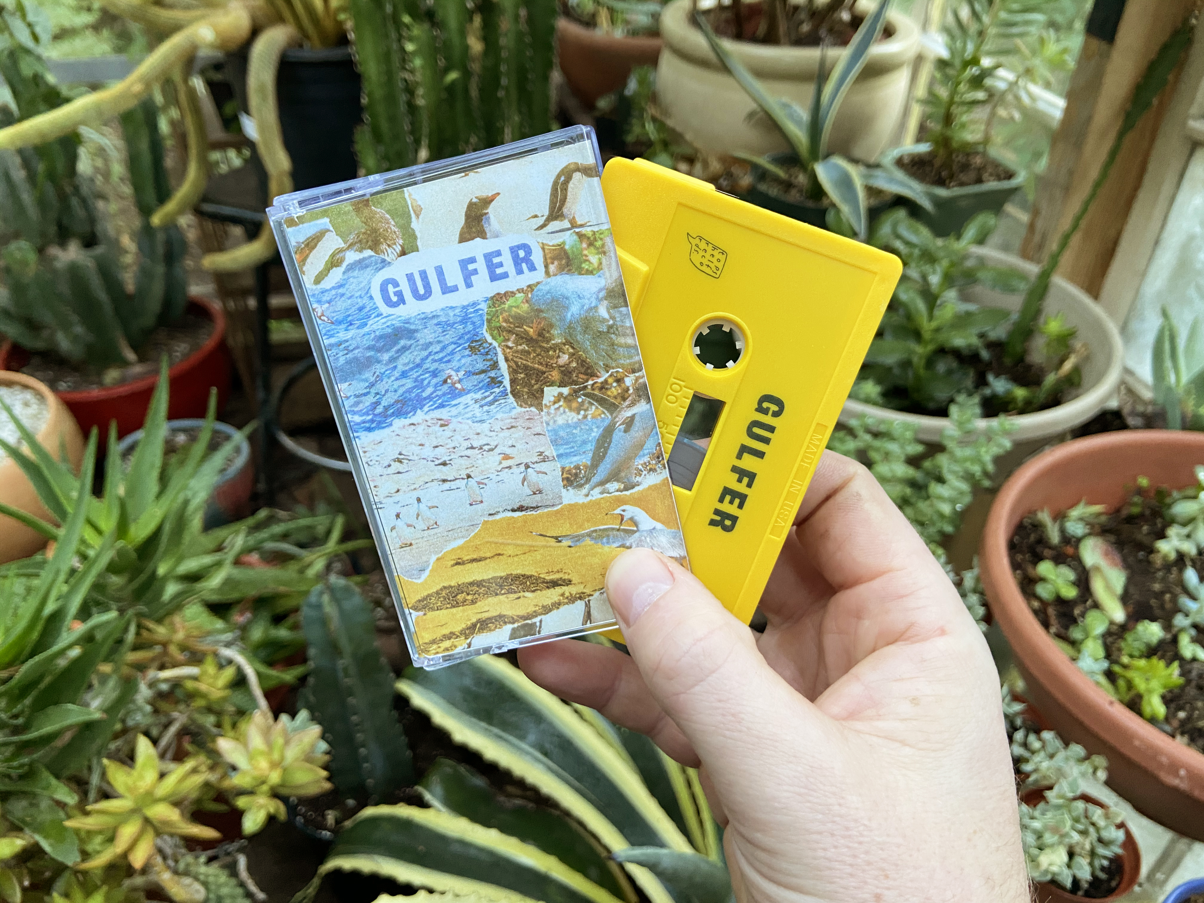 Product shots of Gulfer - S/T