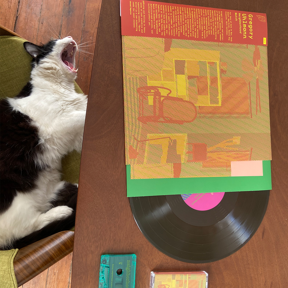 Product shots of Gregory Uhlmann - Neighborhood Watch