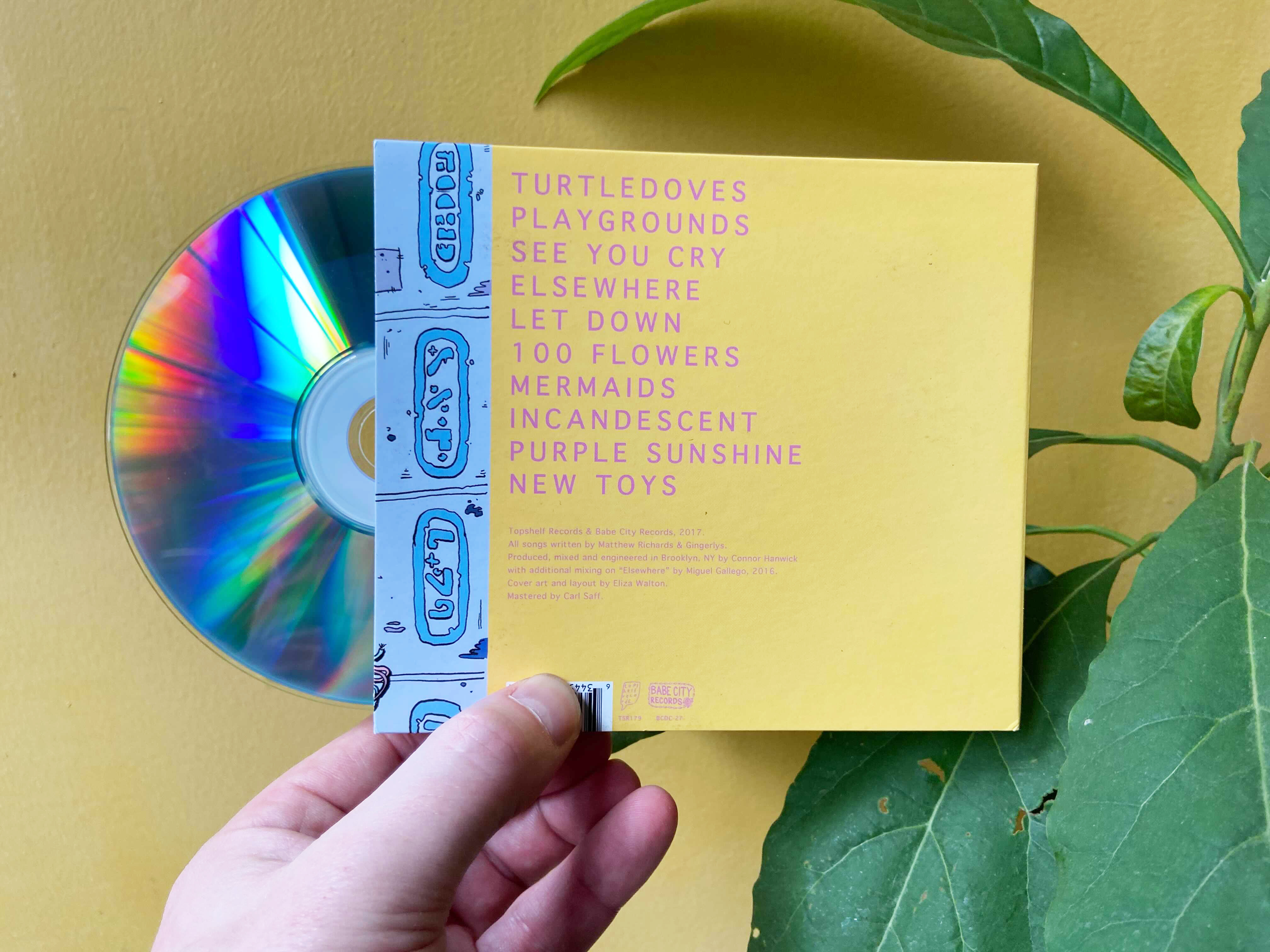 Product shots of Gingerlys - S/T