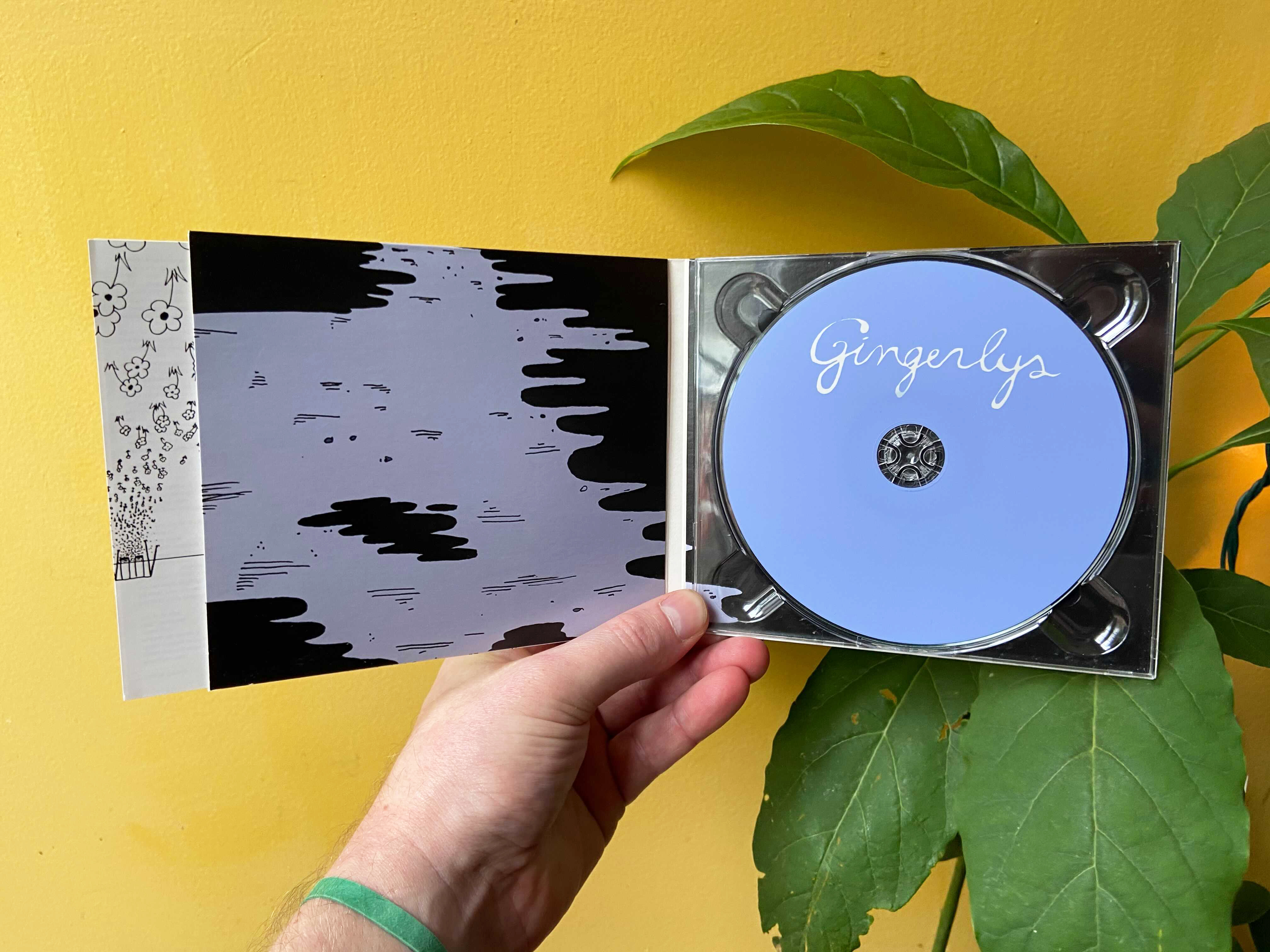 Product shots of Gingerlys - S/T