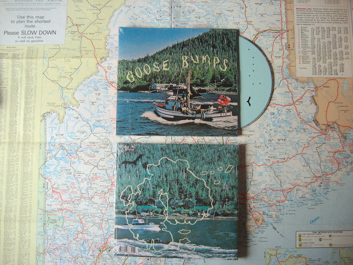 Product shots of Boyscott - Goose Bumps