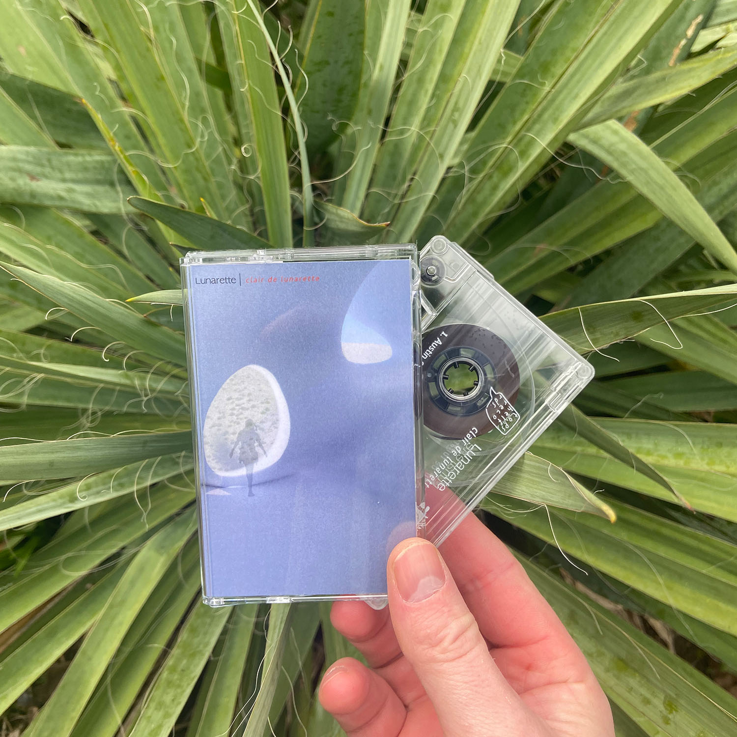 Product shots of Lunarette - Clair de Lunarette