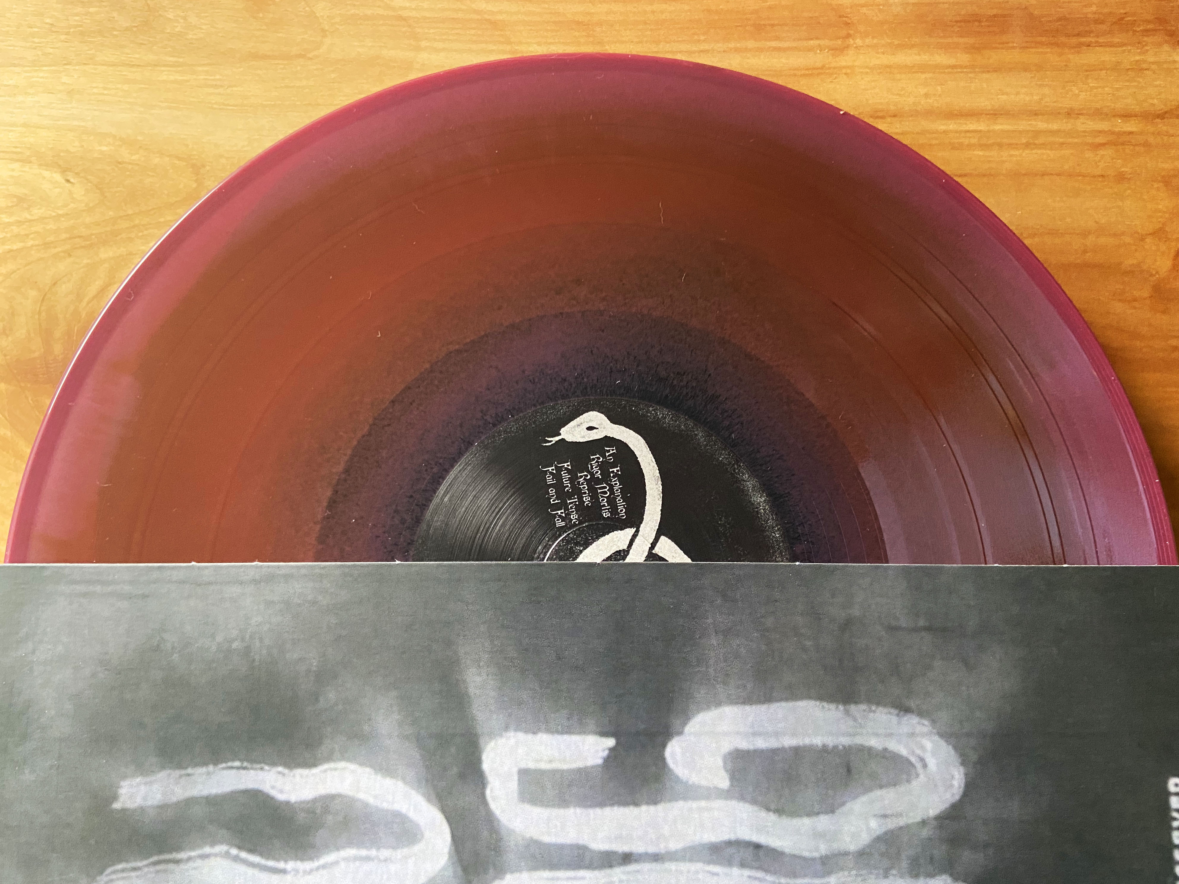 Product shots of Record Setter - I Owe You Nothing