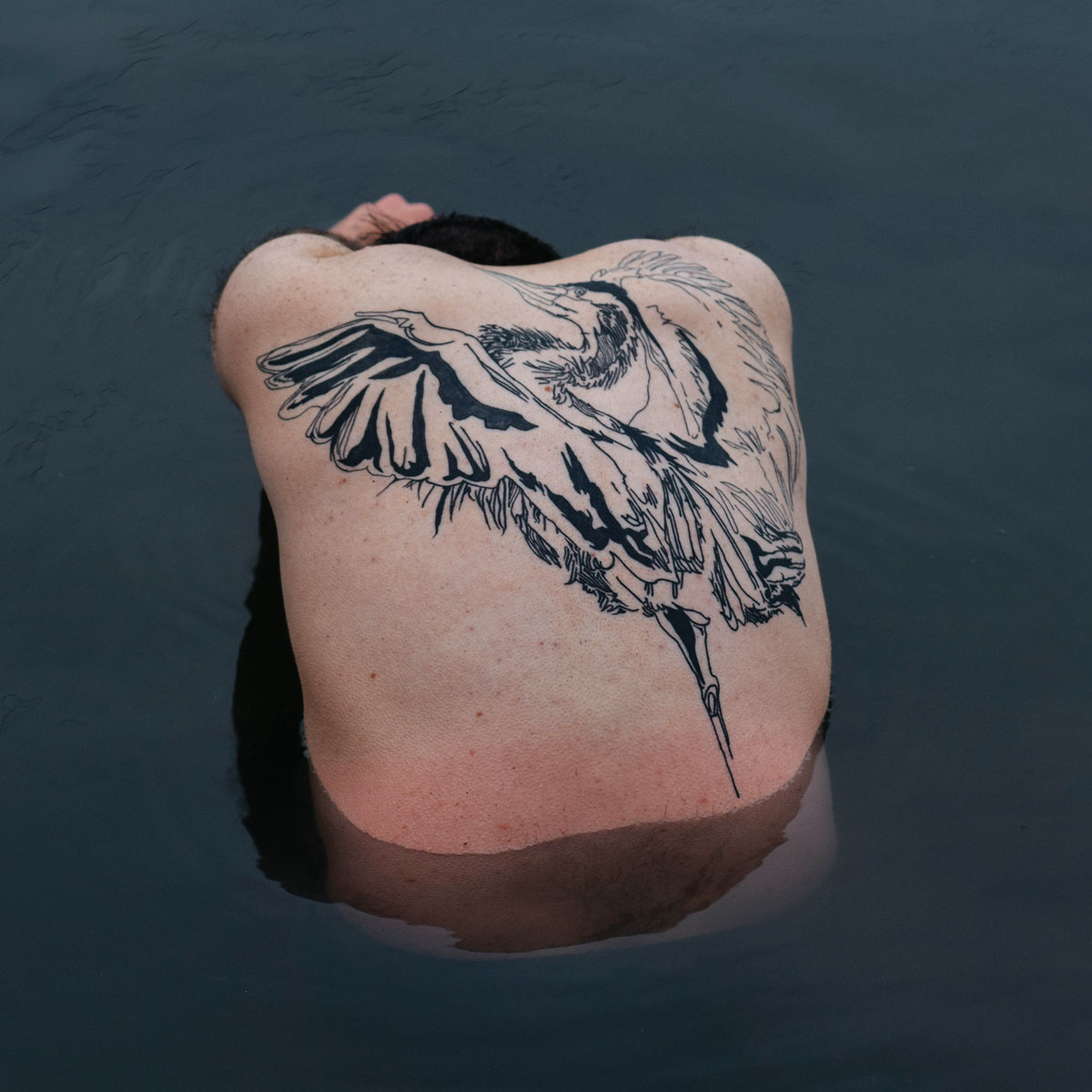 Blue Heron              pdxtattoo portlandtattoo qttr  qttrportland portlandtattooartist seattletattoo pnwtattoo  Instagram  post from Dead Pan Tattoo deadpantattoo