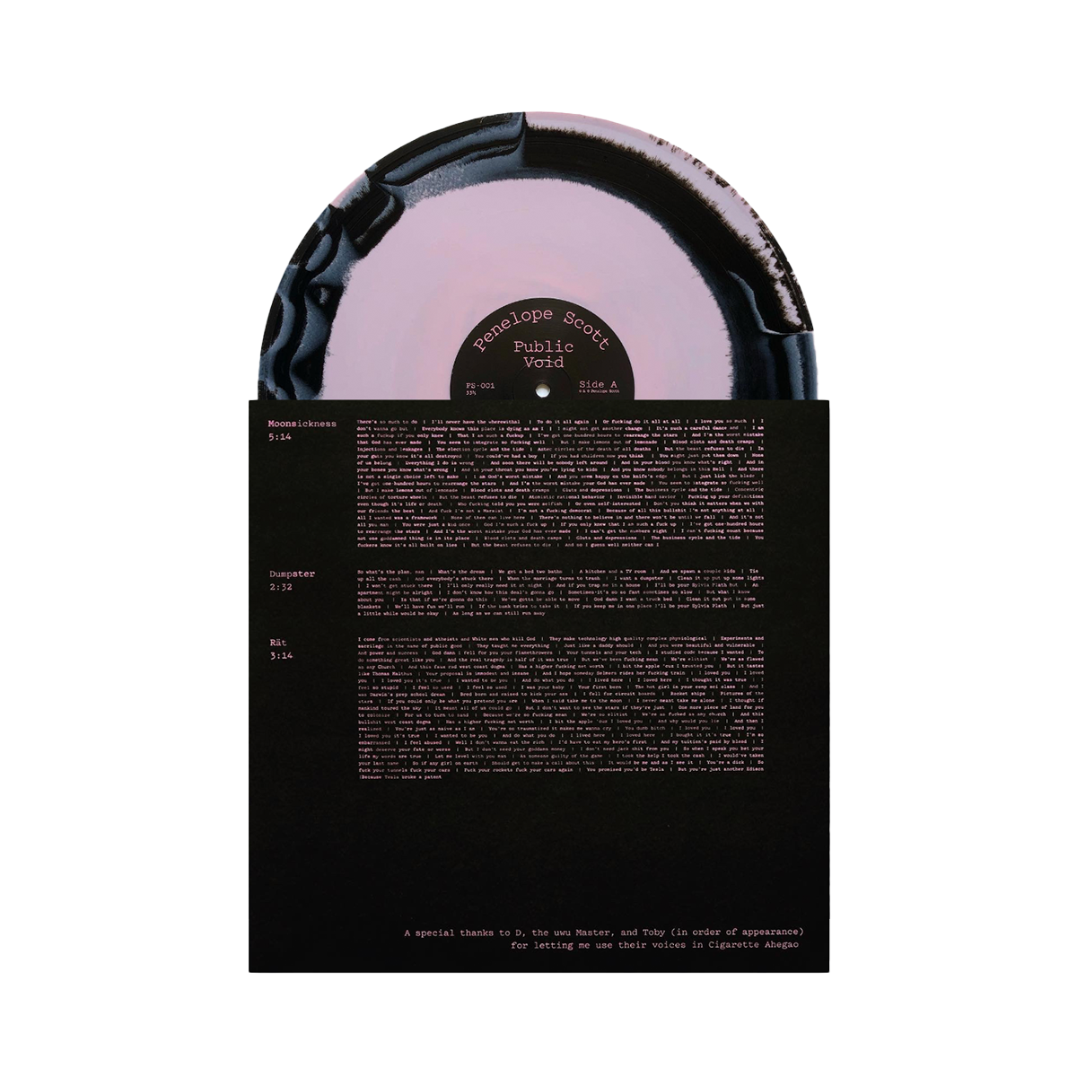 Public Void Vinyl