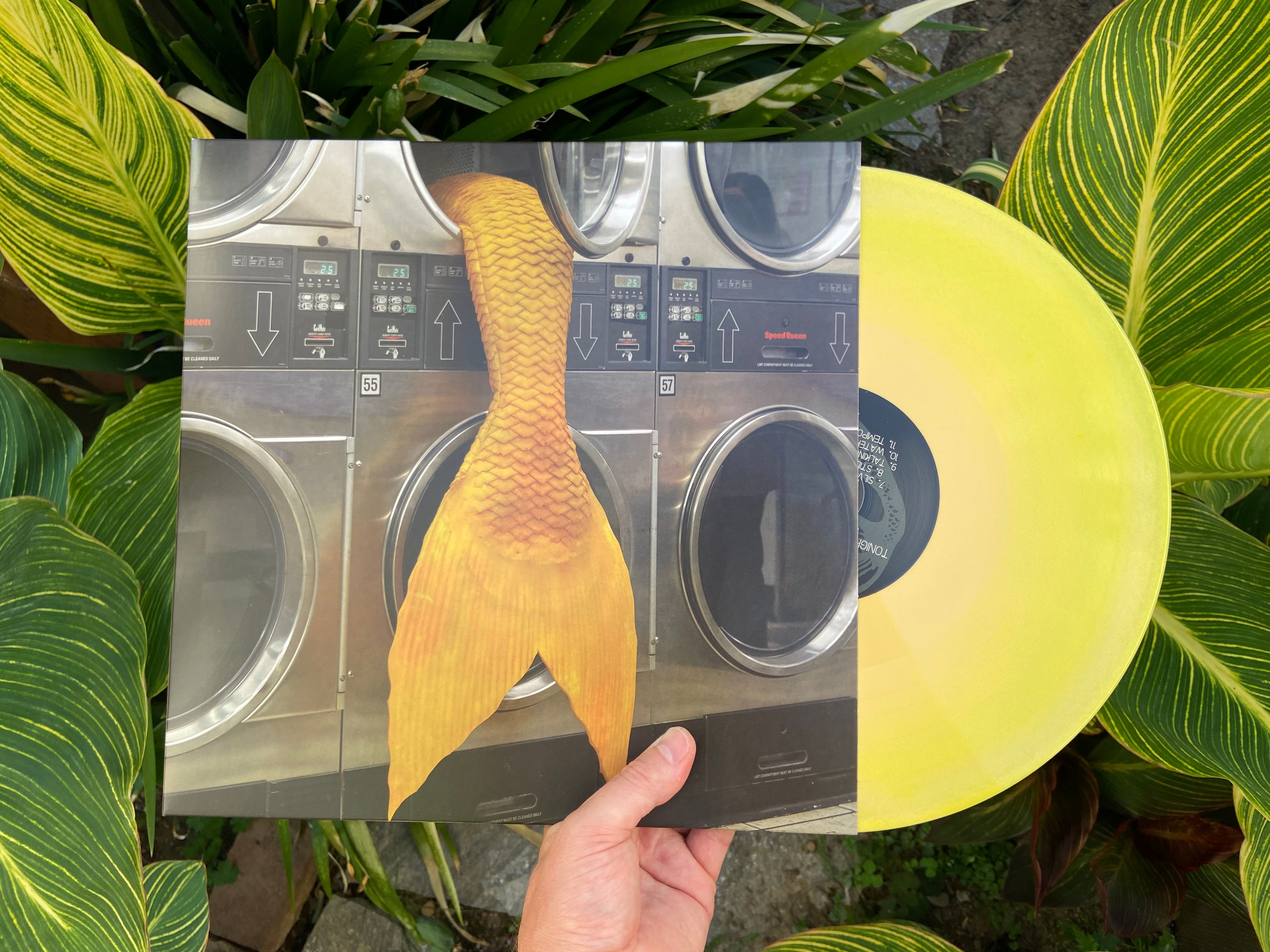 Product shots of Olivia Kaplan - Tonight Turns to Nothing