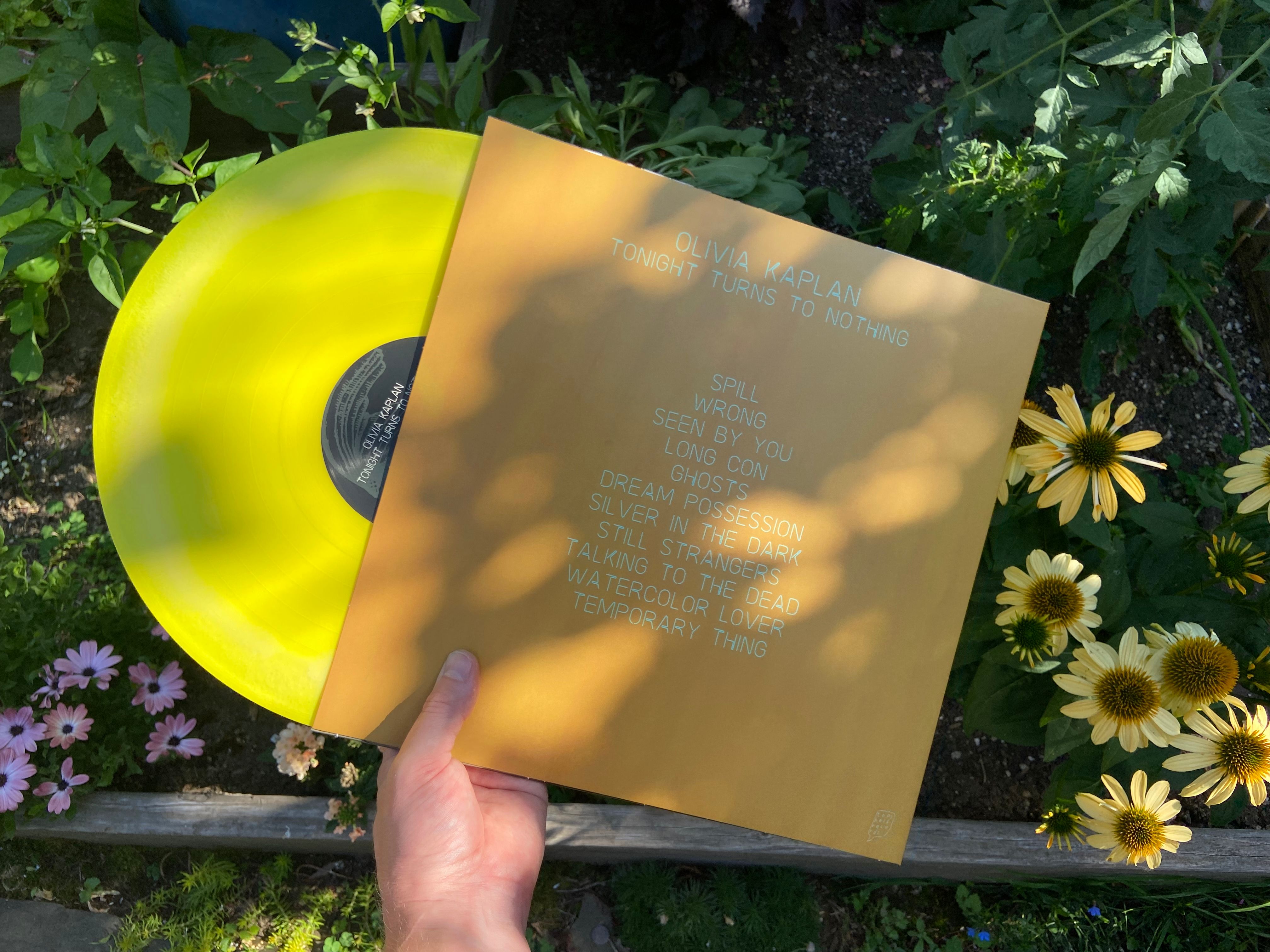 Product shots of Olivia Kaplan - Tonight Turns to Nothing