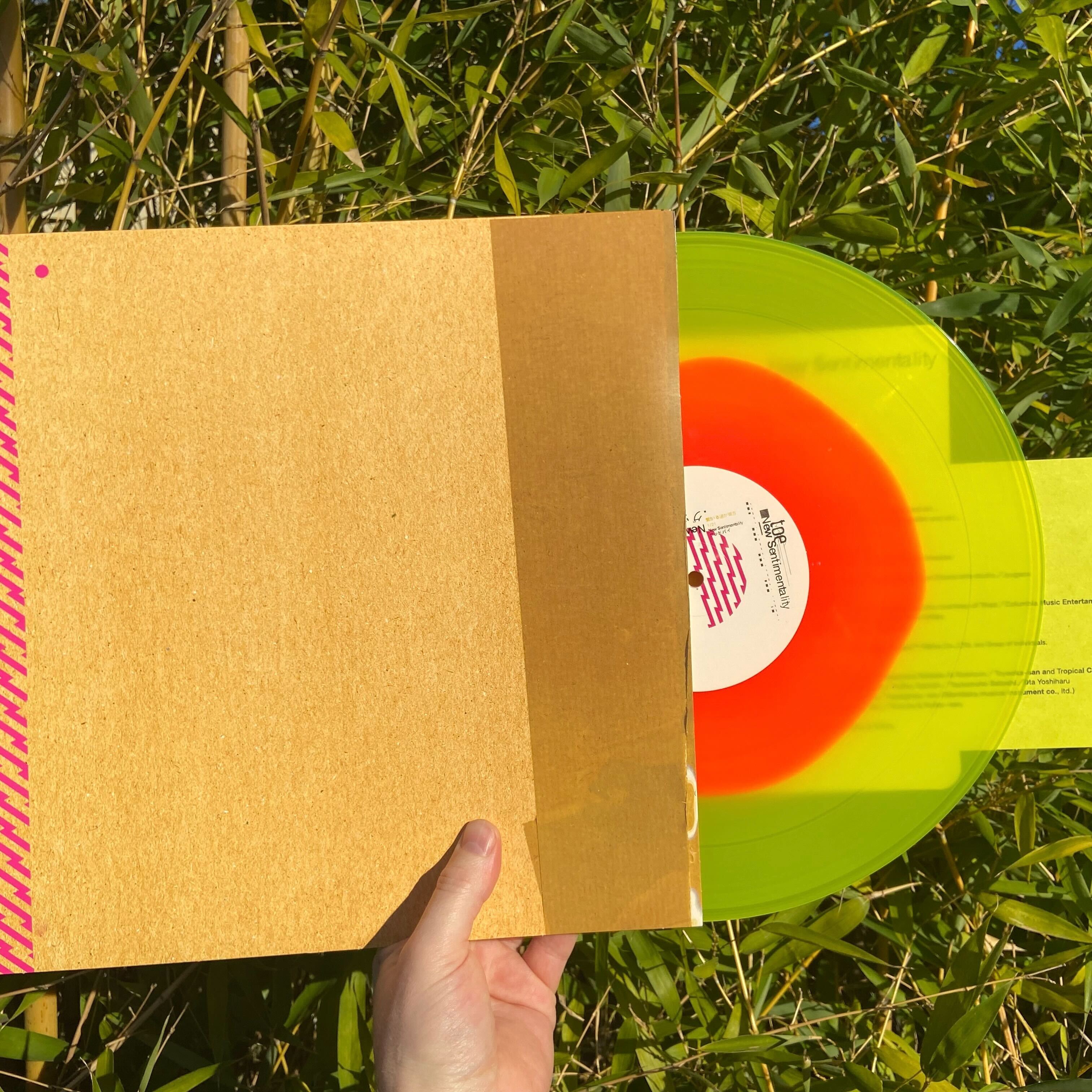 Product shots of toe - New Sentimentality