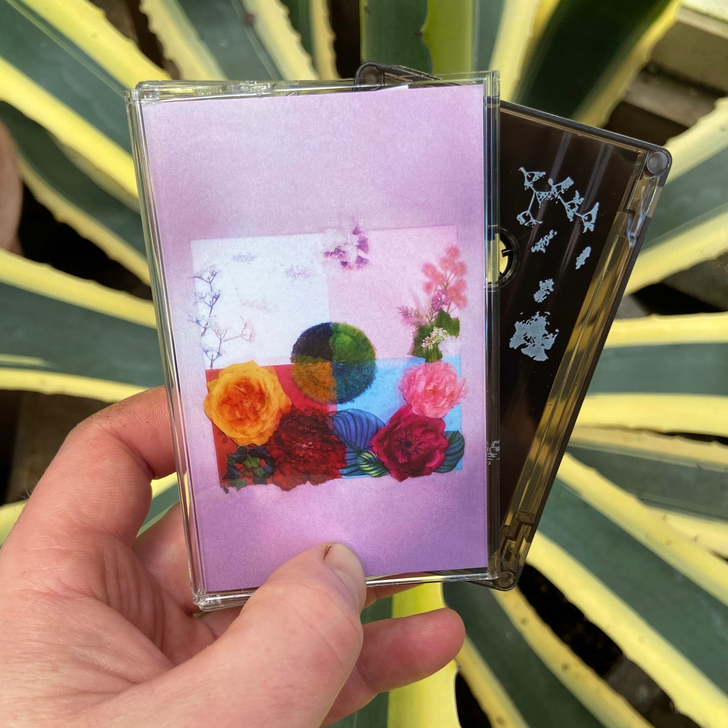 Product shots of Zenizen - P.O.C (Proof of Concept)