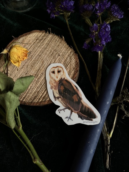 Owl Sticker