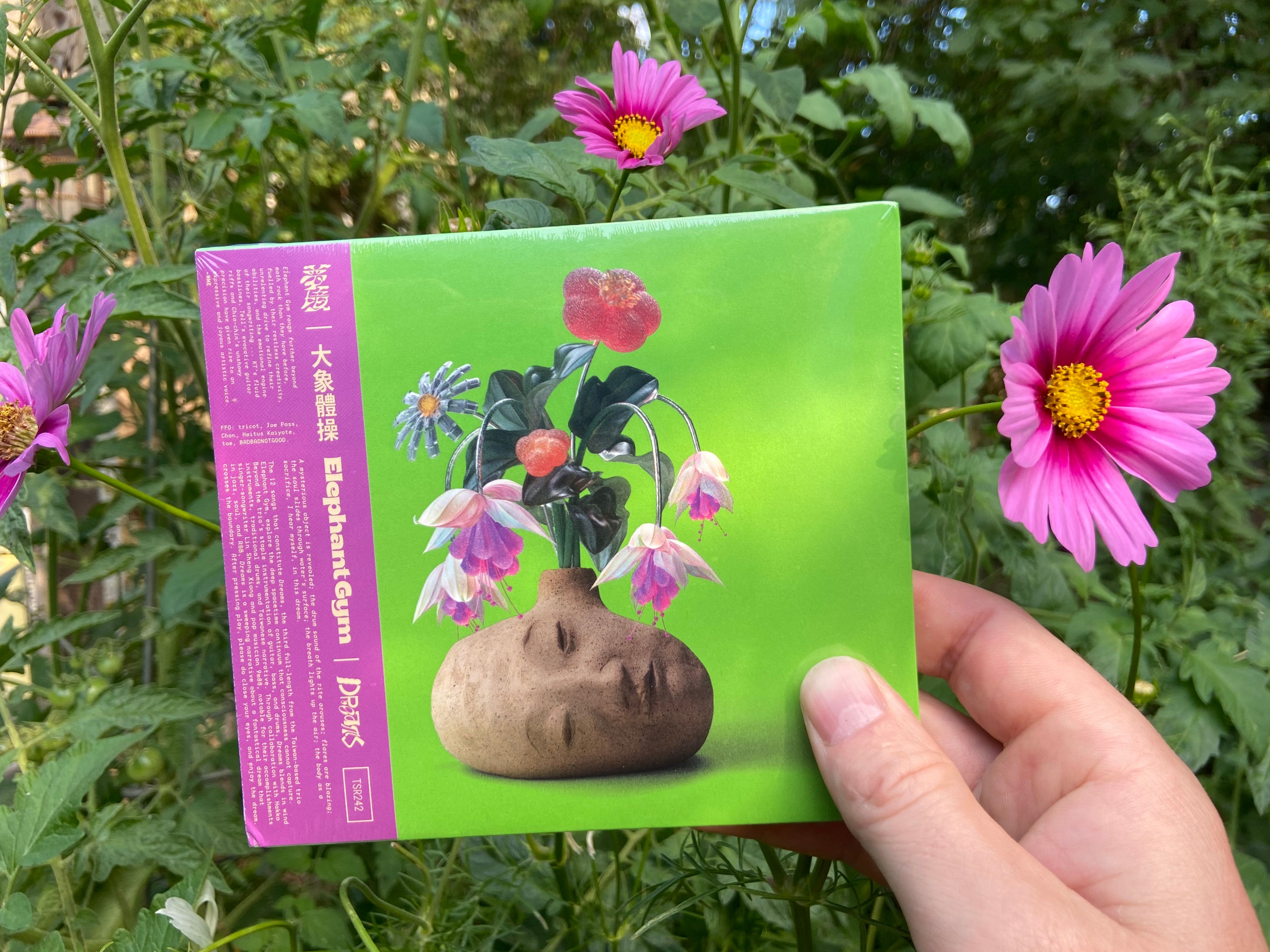 Product shots of Elephant Gym - Dreams