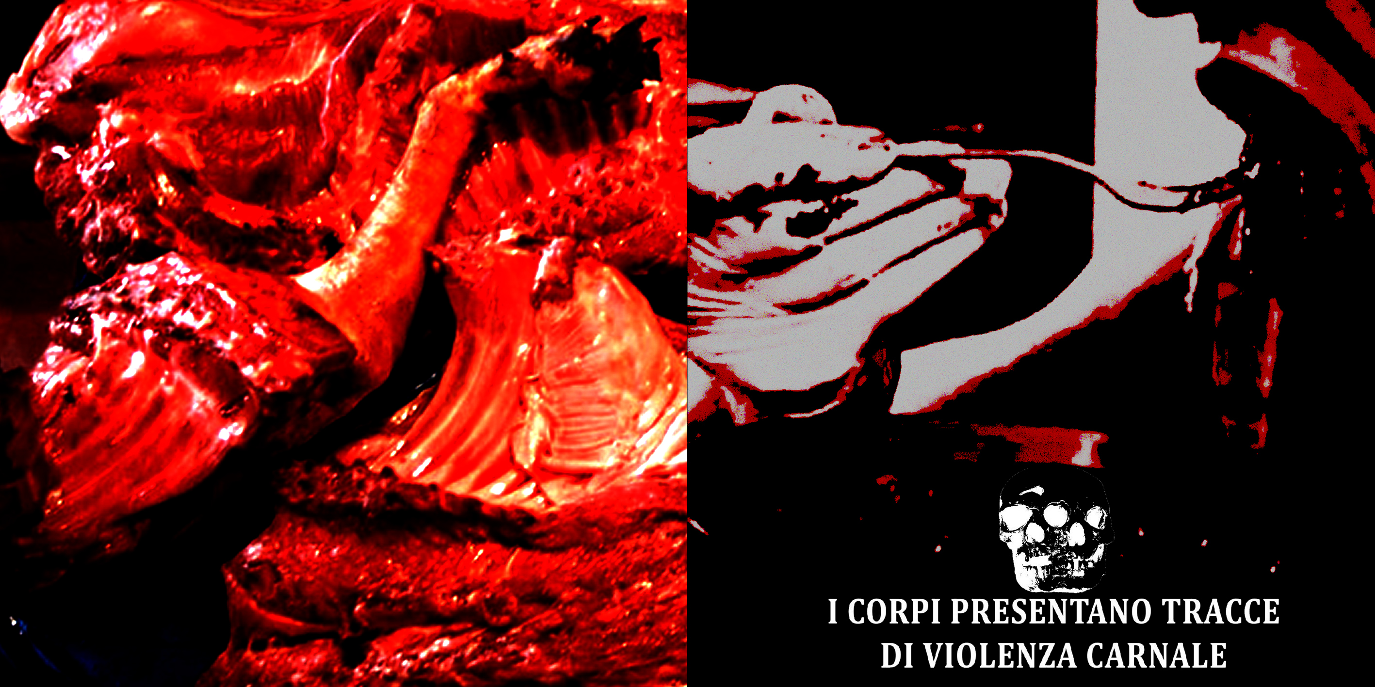 I Corpi Presentano Tracce Di Violenza Carnale - Non c'è differenza nella carne