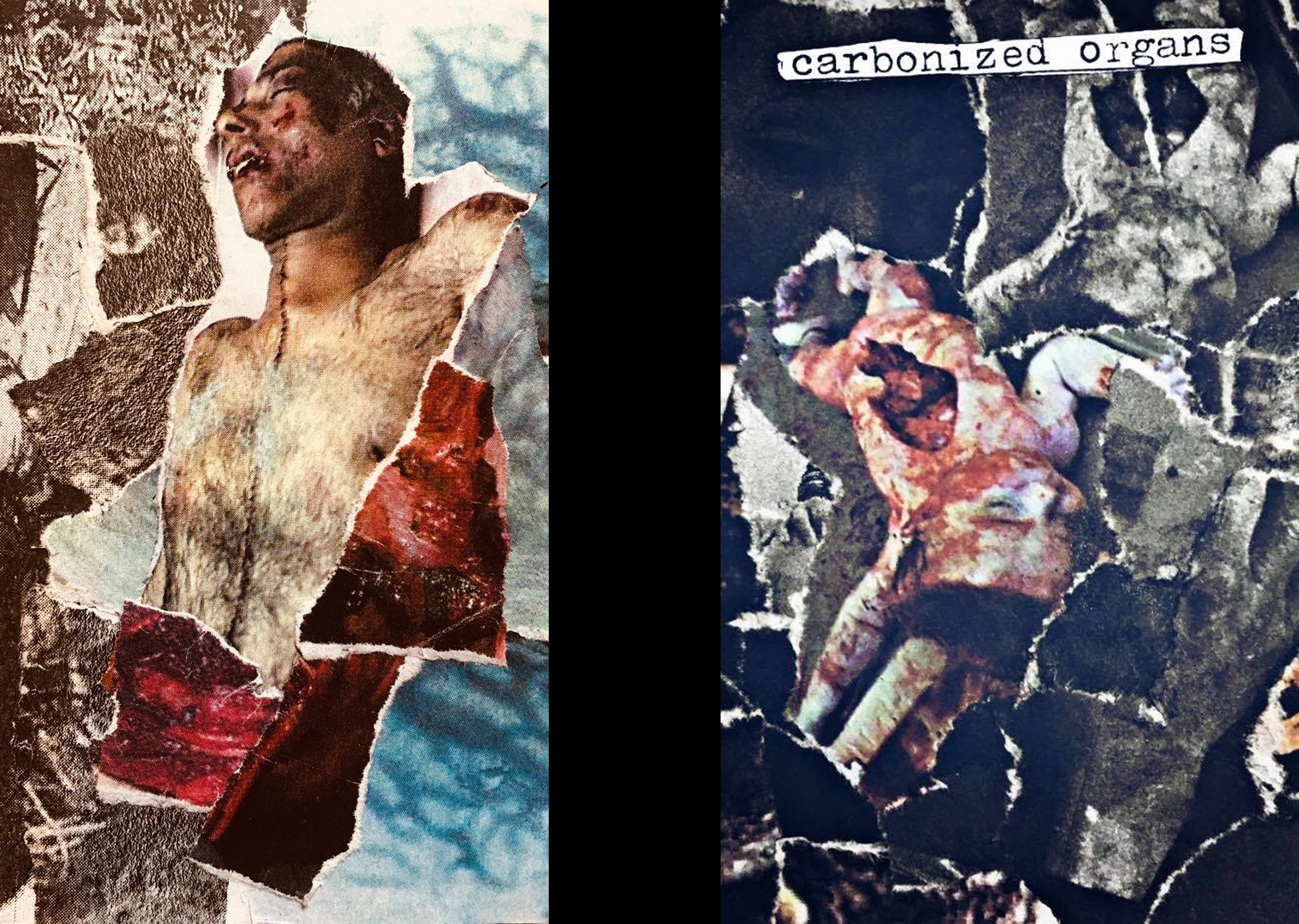 Gruesome Victims - Carbonized Organs