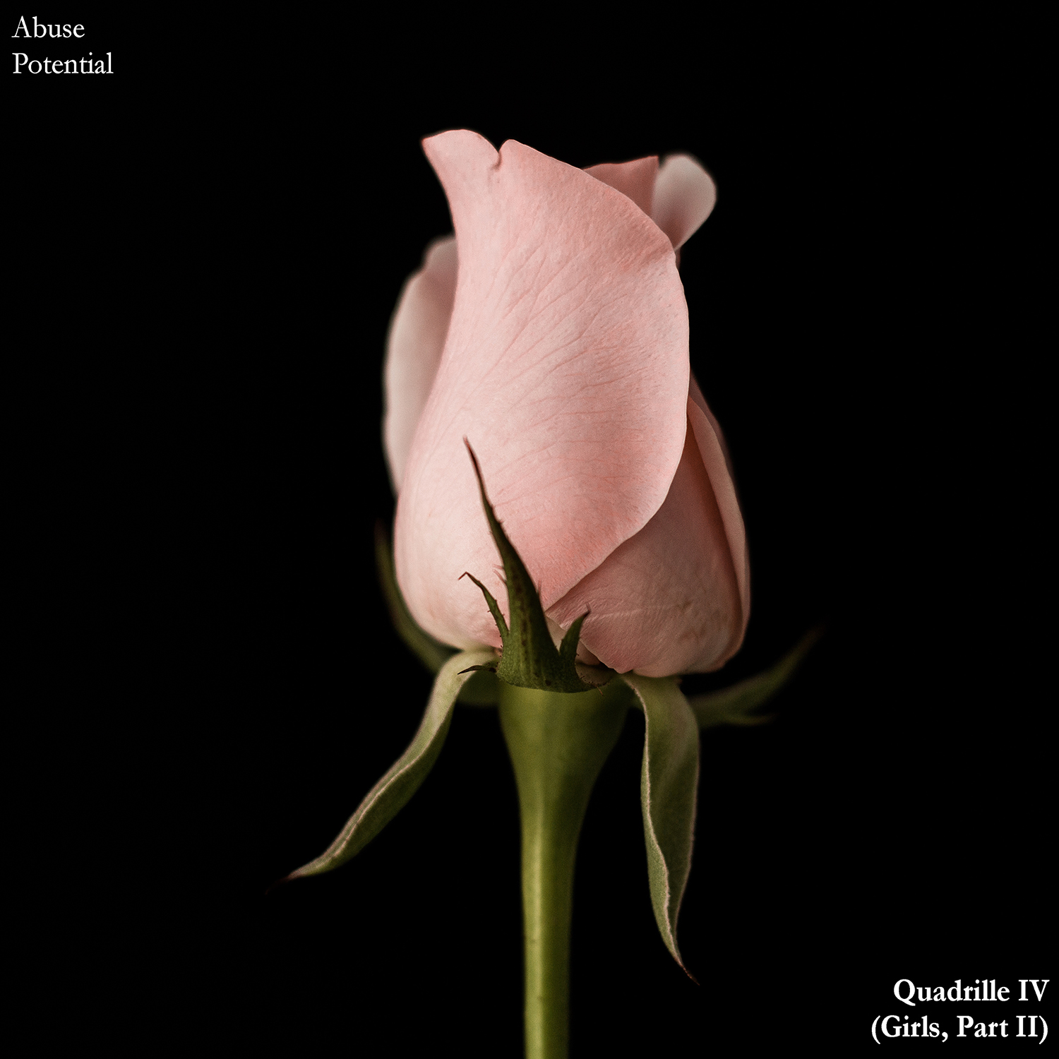 Abuse Potential - Quadrille IV (Girls, Part II)