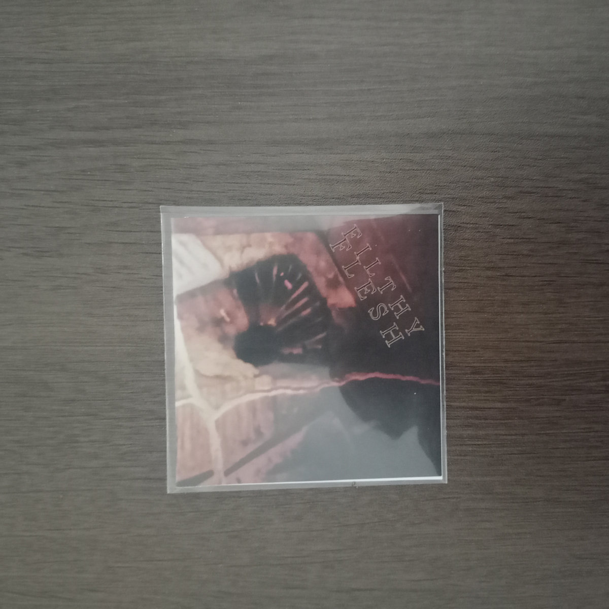 Filthy Flesh - Bathroom Session