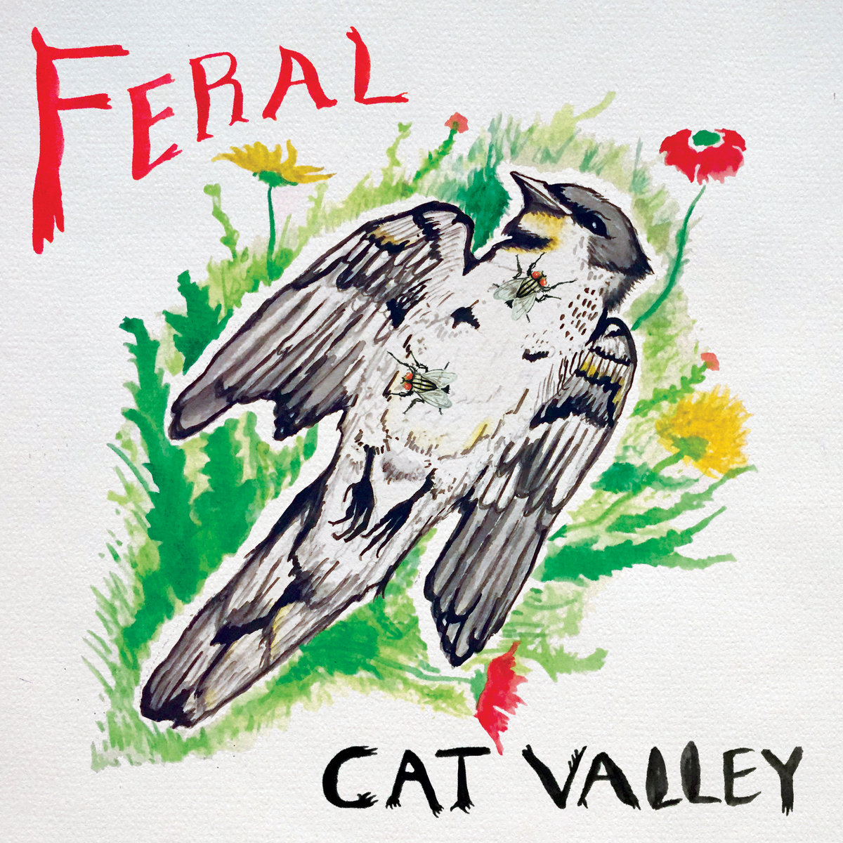 Cat Valley - Feral CD