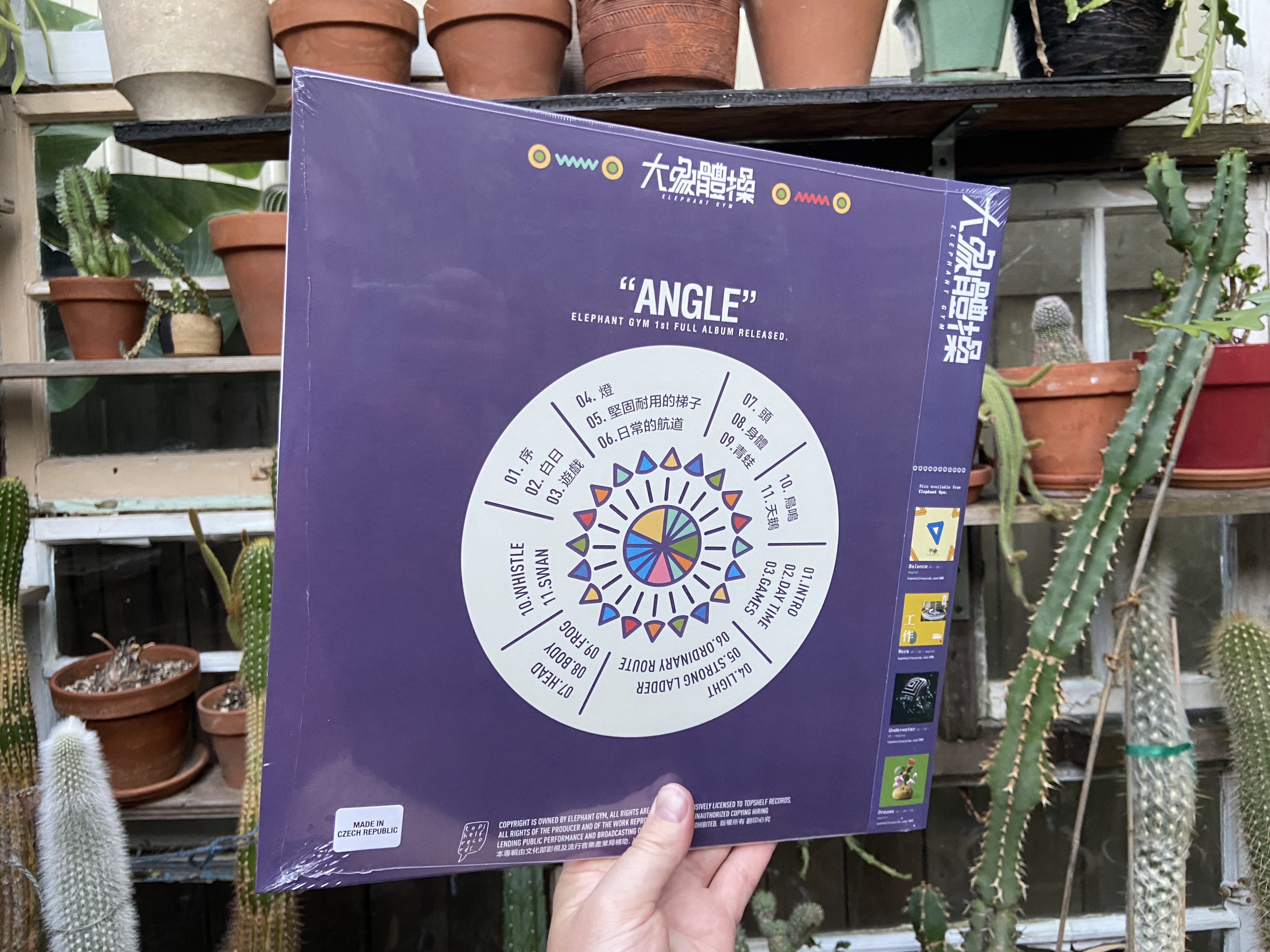 Product shots of Elephant Gym - Angle