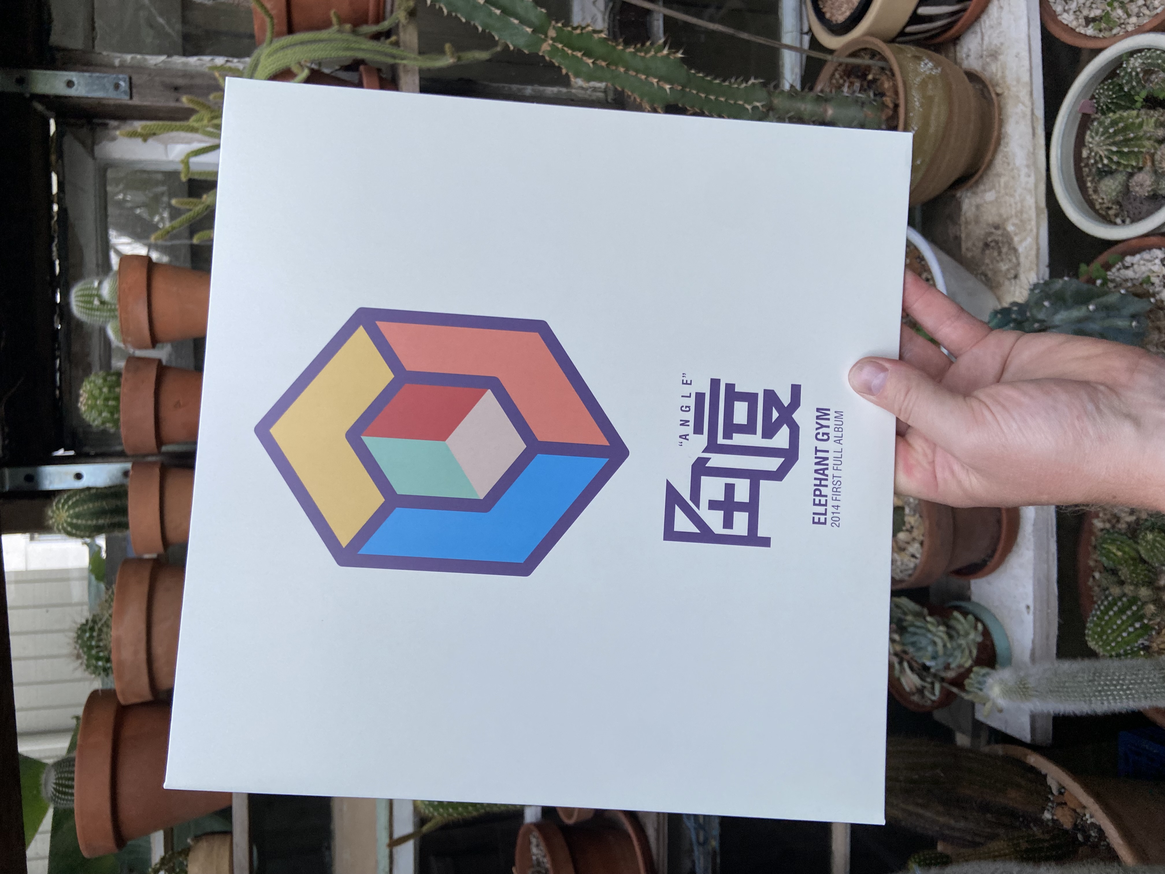 Product shots of Elephant Gym - Angle