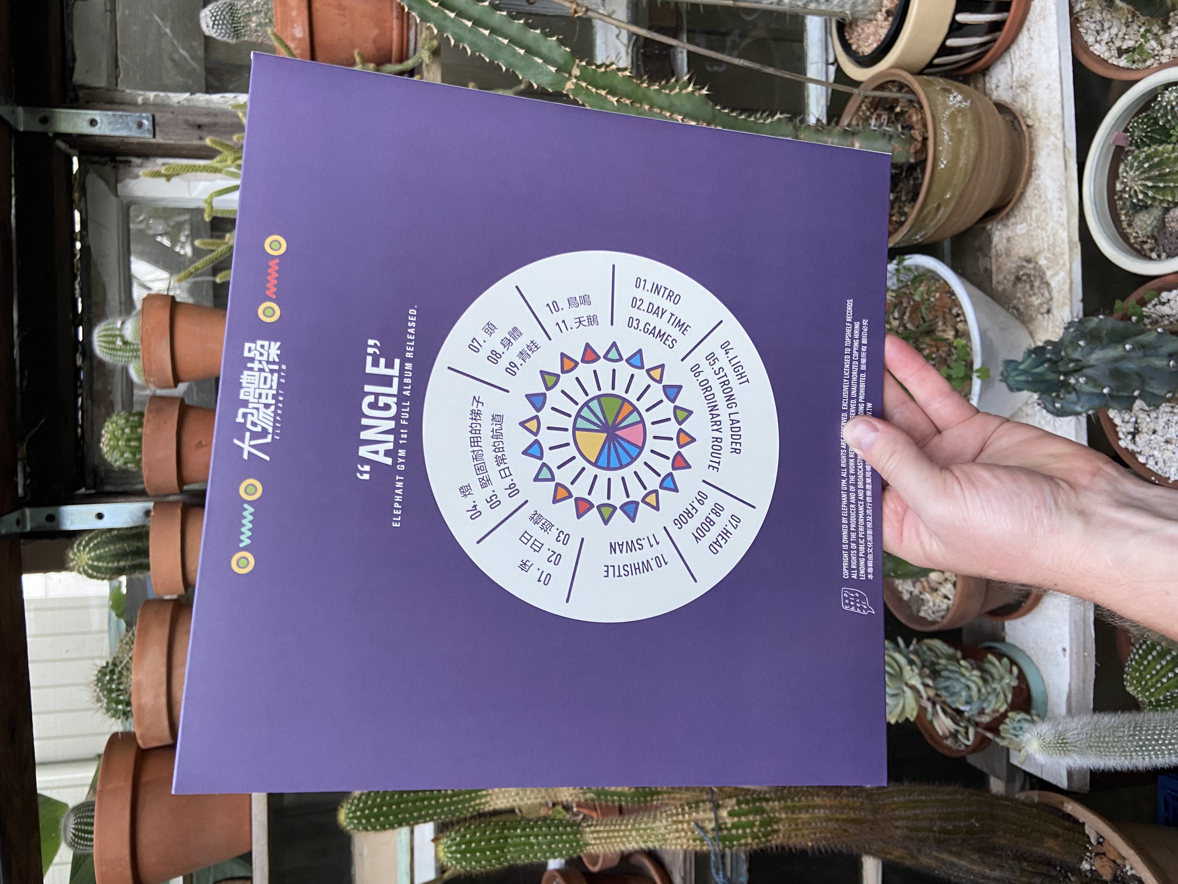 Product shots of Elephant Gym - Angle