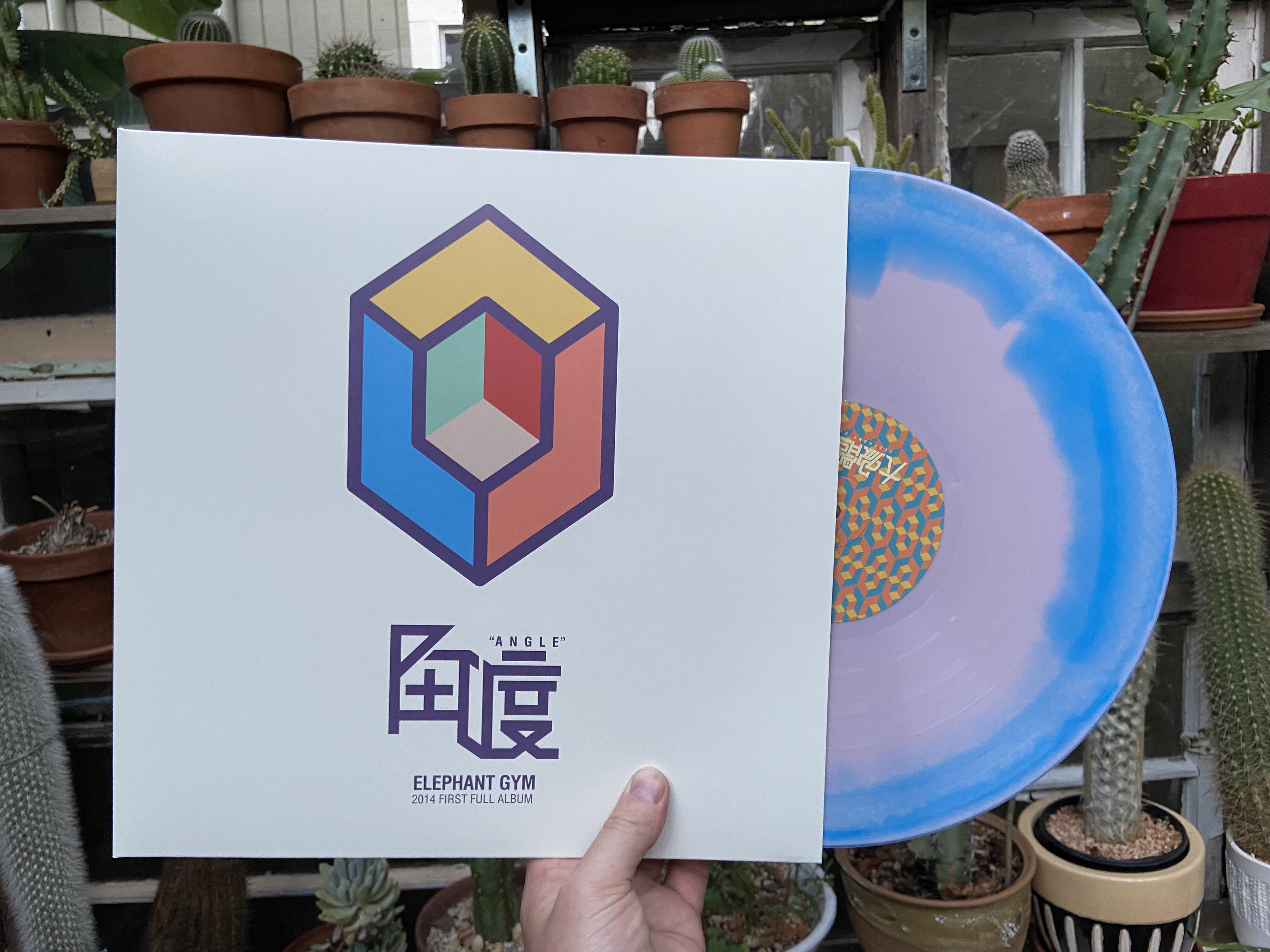 Product shots of Elephant Gym - Angle