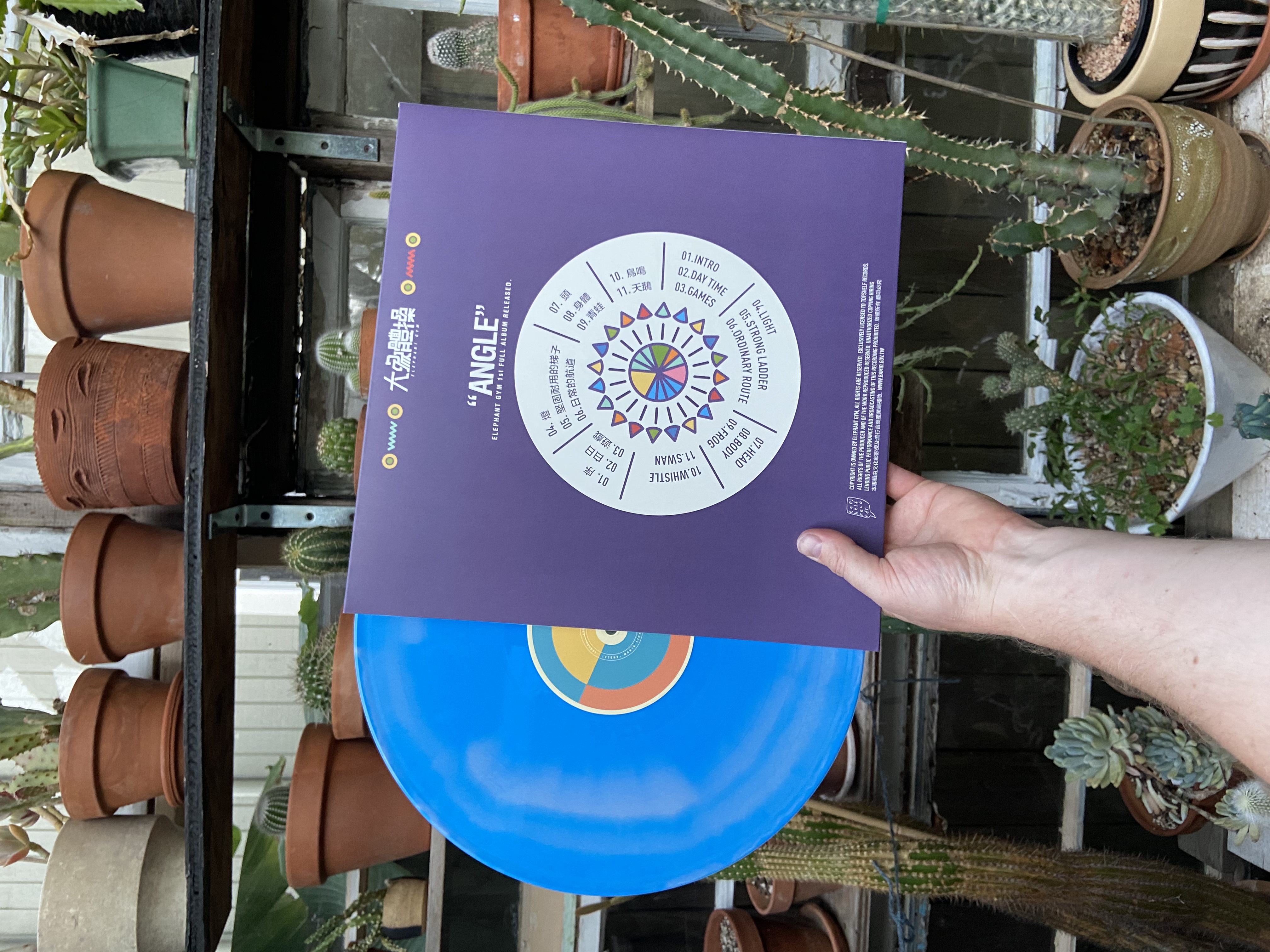 Product shots of Elephant Gym - Angle