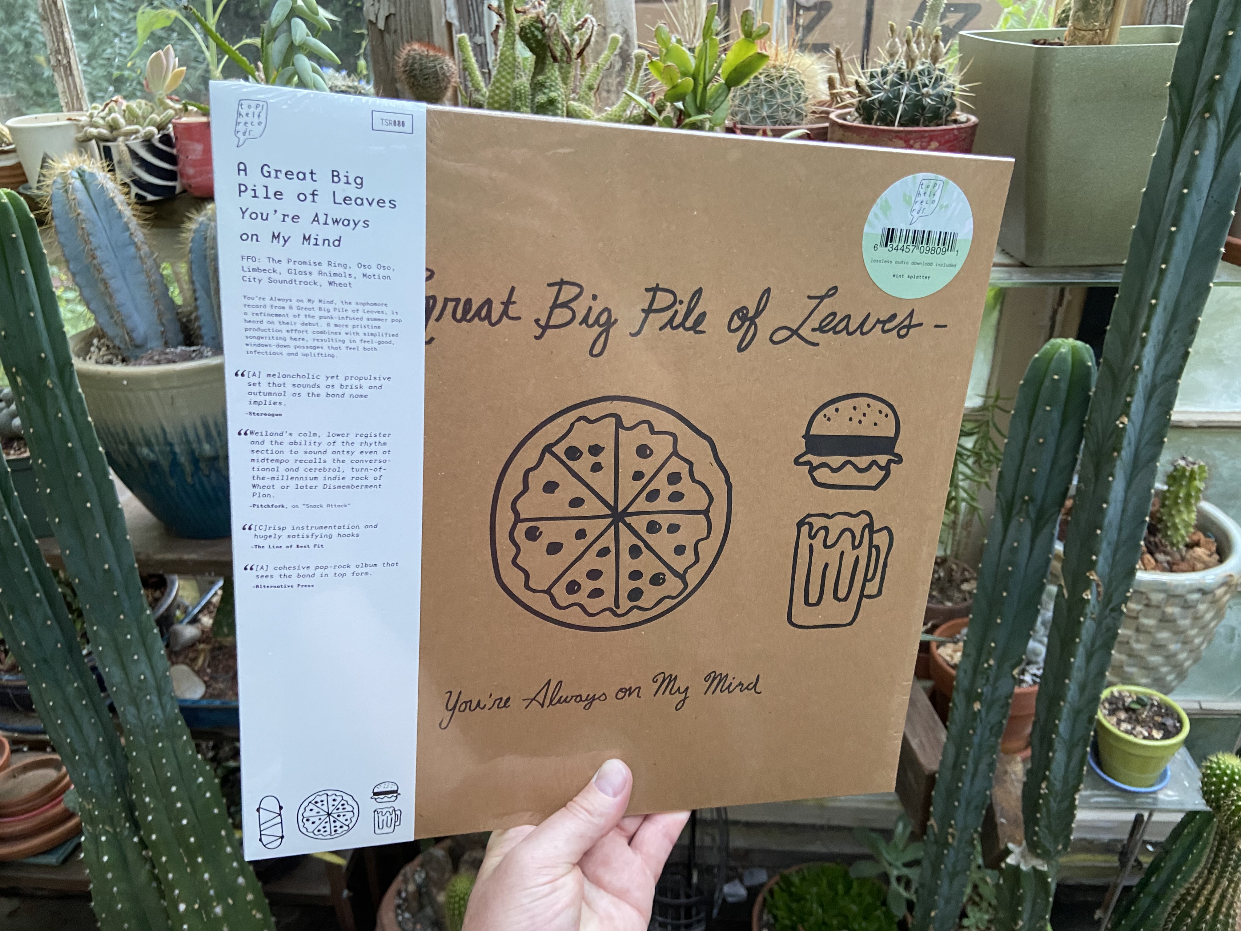 Product shots of A Great Big Pile of Leaves - You're Always On My Mind