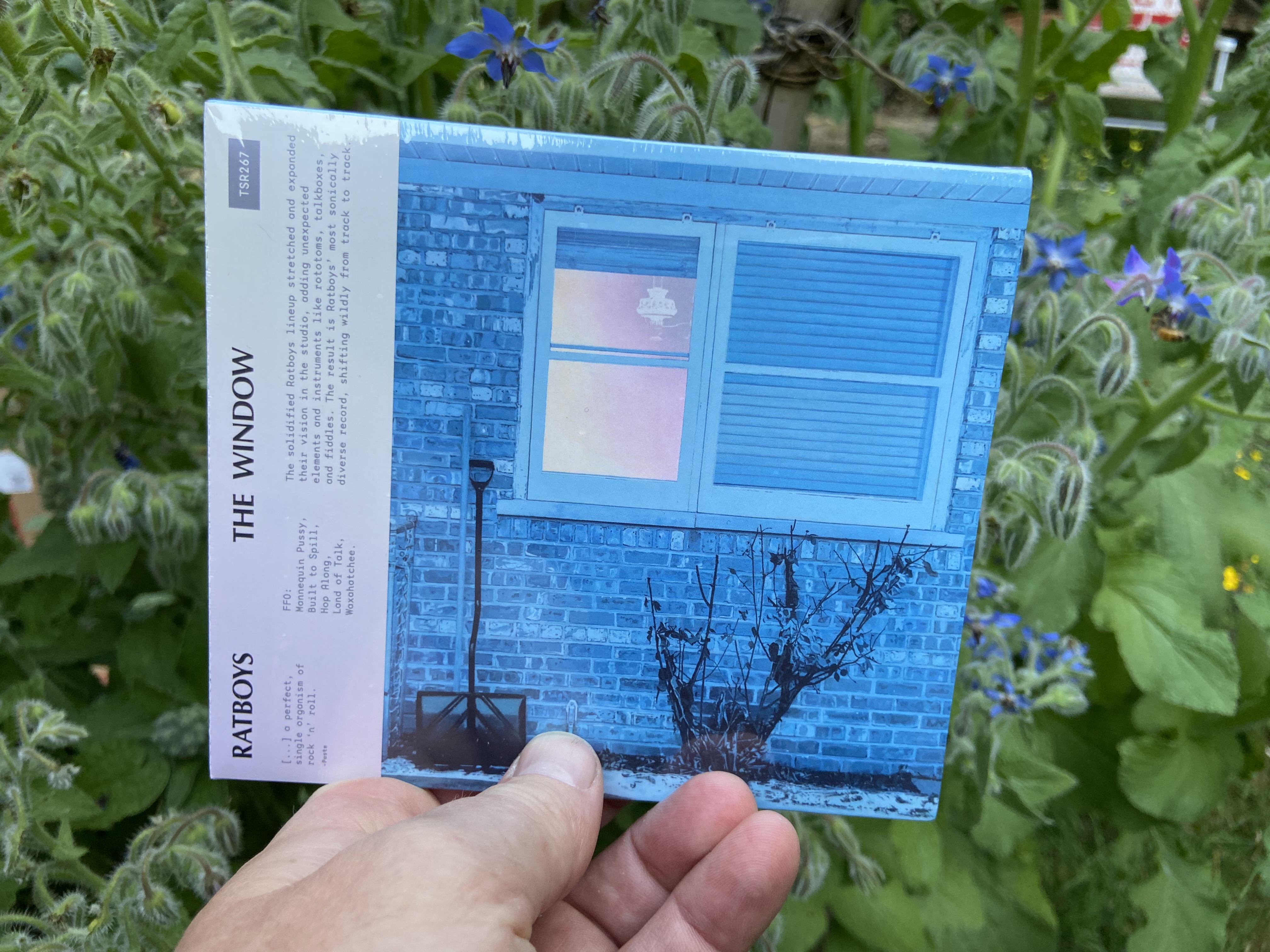 Product shots of Ratboys - The Window