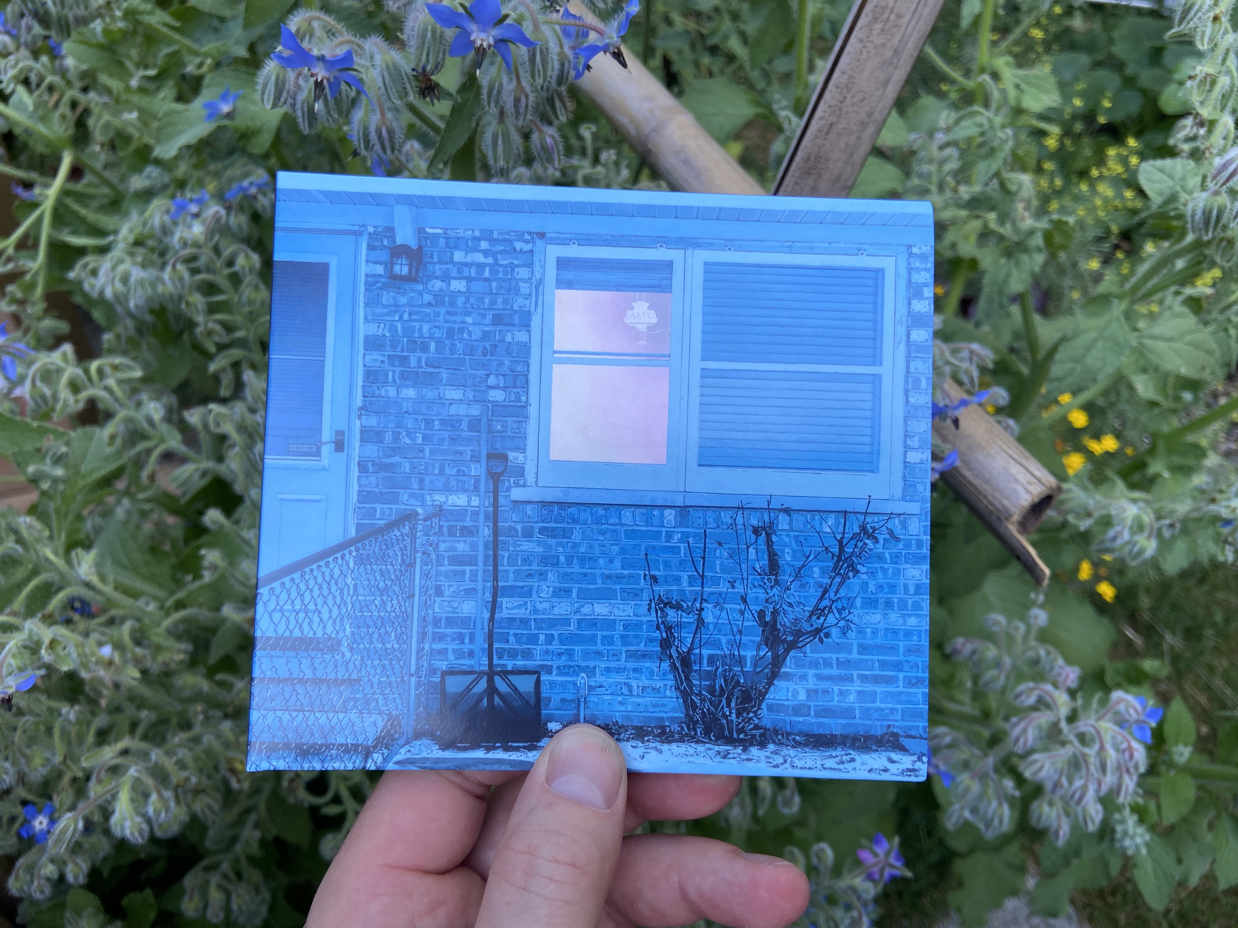 Product shots of Ratboys - The Window