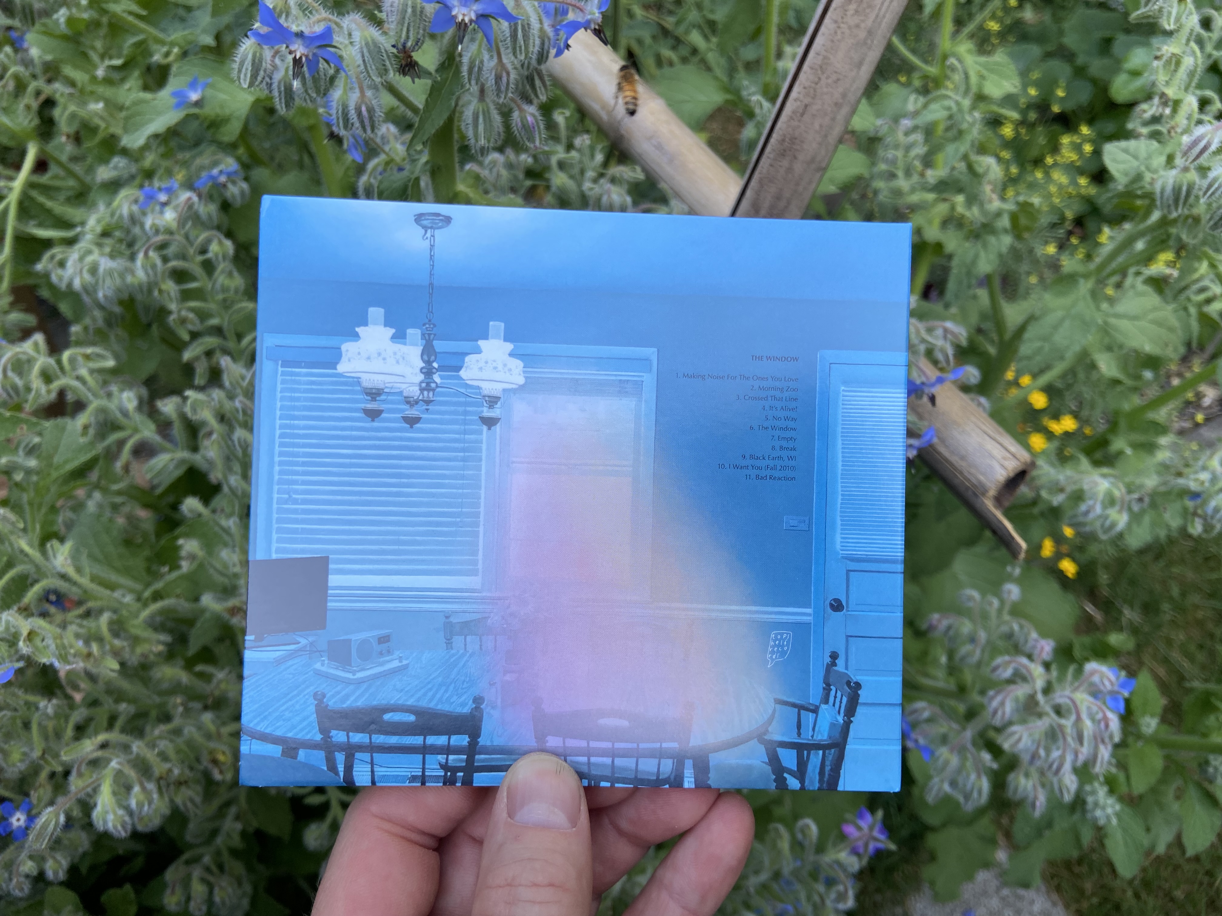 Product shots of Ratboys - The Window