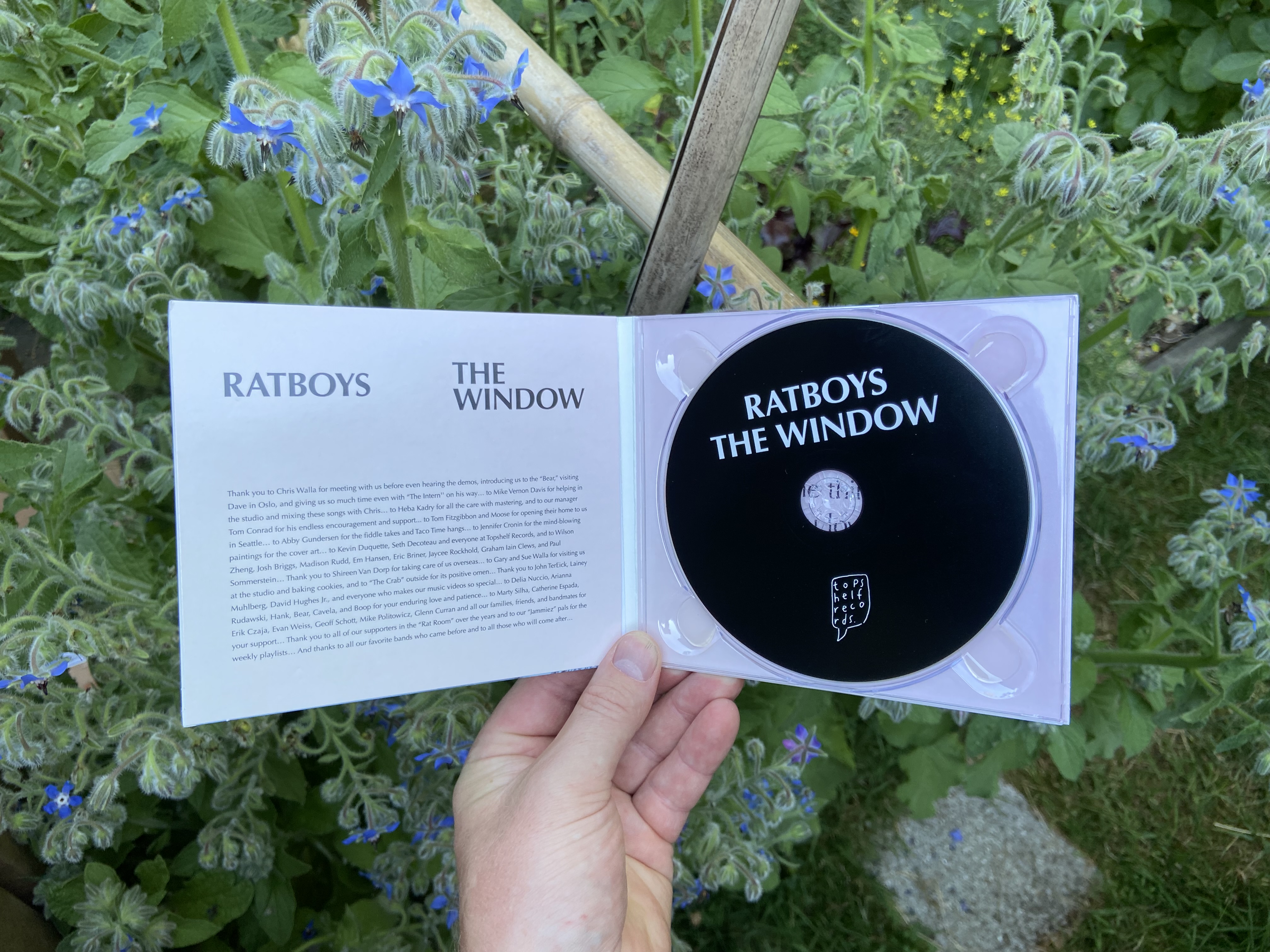 Product shots of Ratboys - The Window