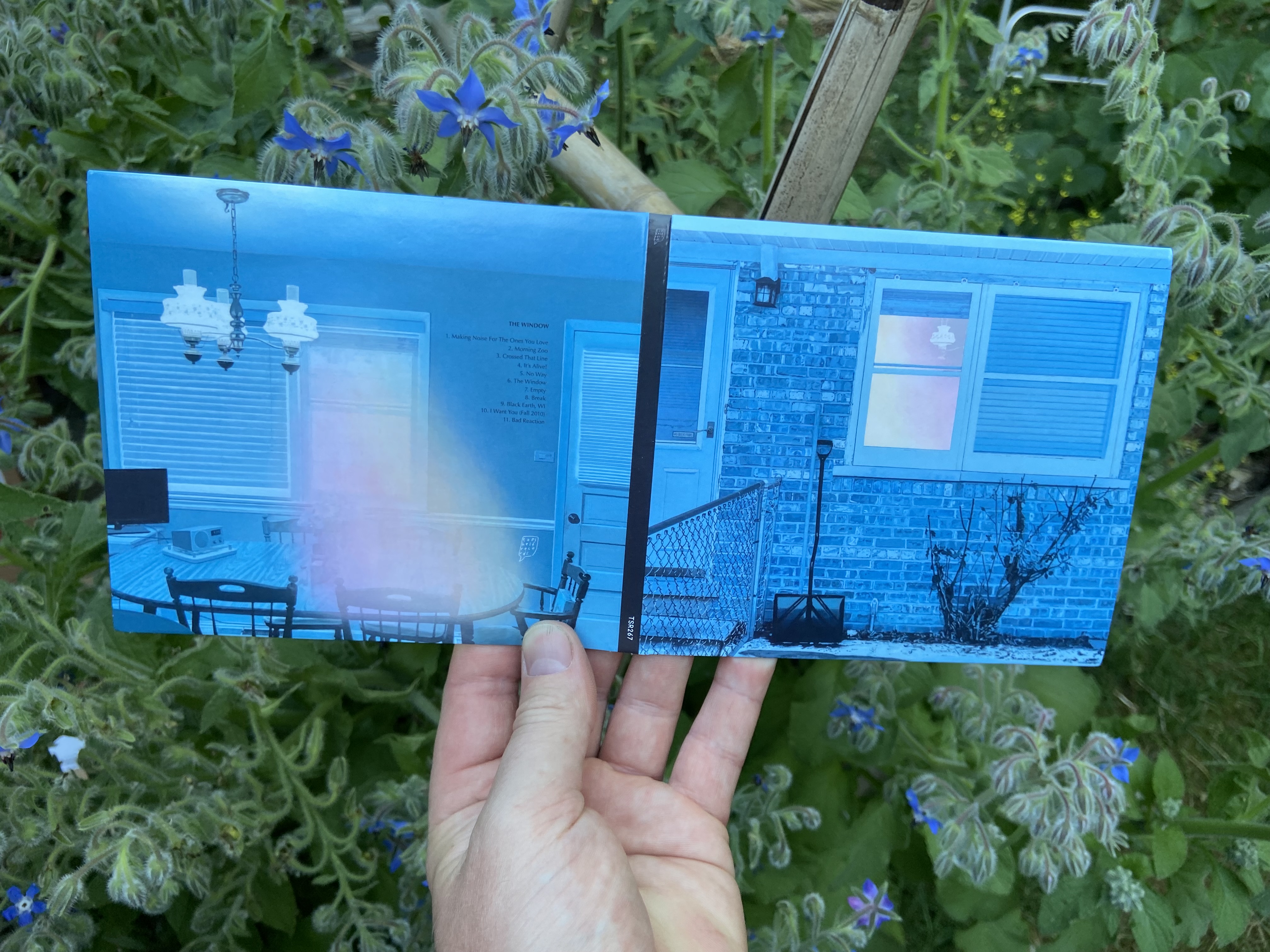 Product shots of Ratboys - The Window