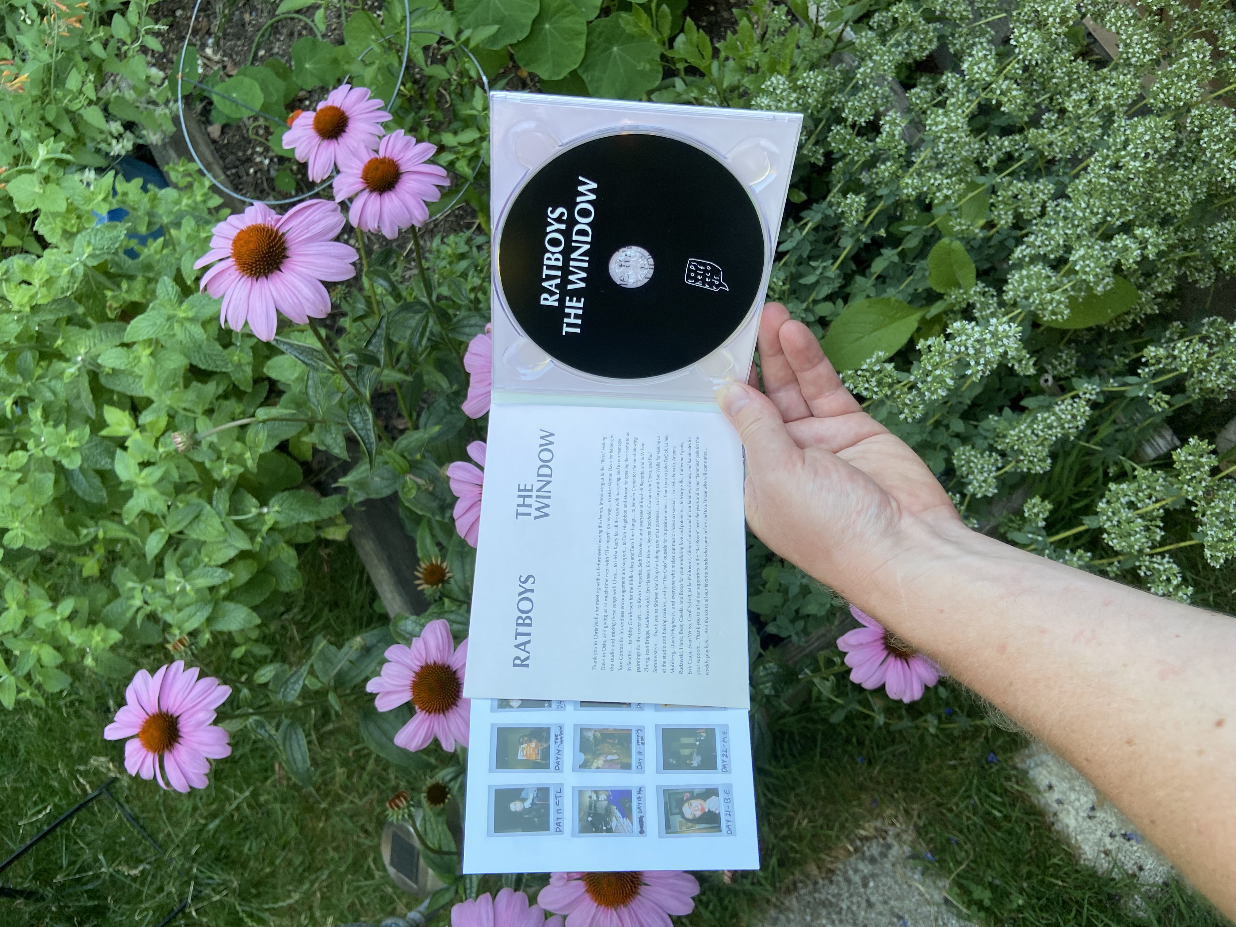 Product shots of Ratboys - The Window