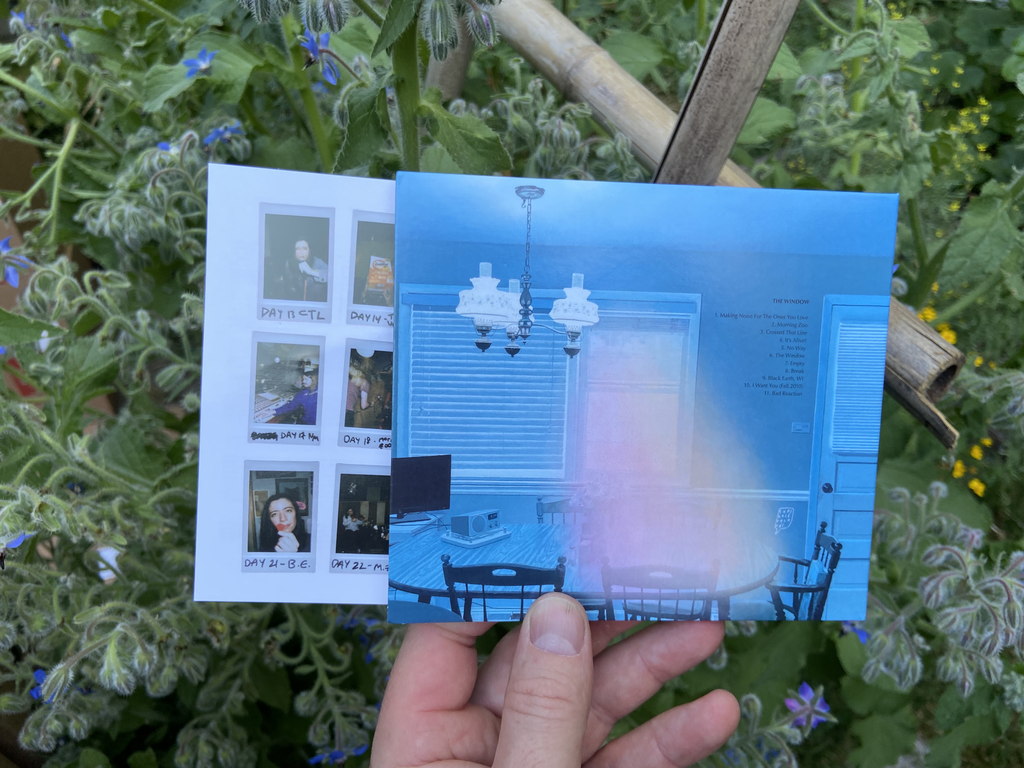 Product shots of Ratboys - The Window