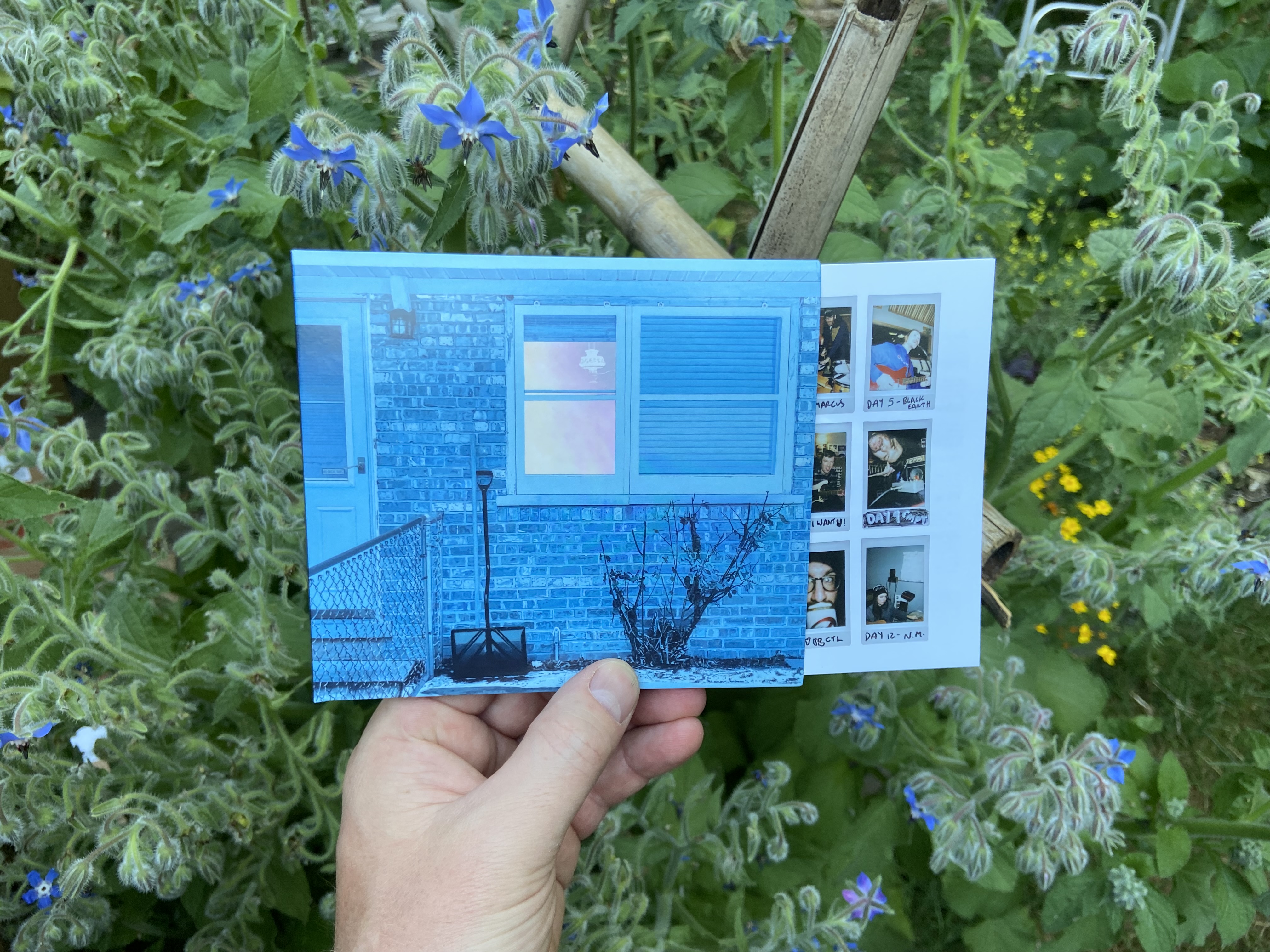 Product shots of Ratboys - The Window