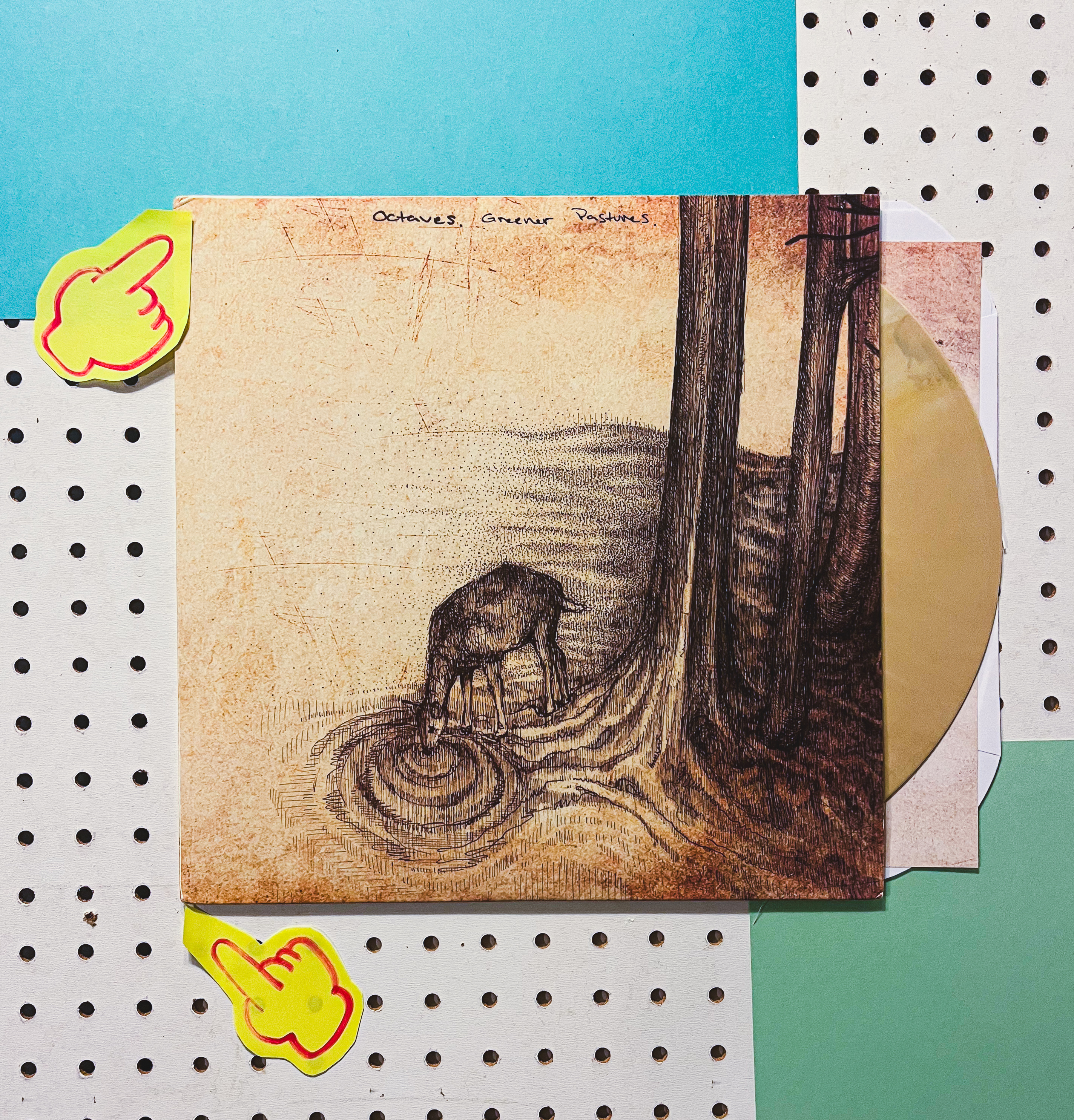 Product shots of Topshelf Records - 2023 Damaged Sale