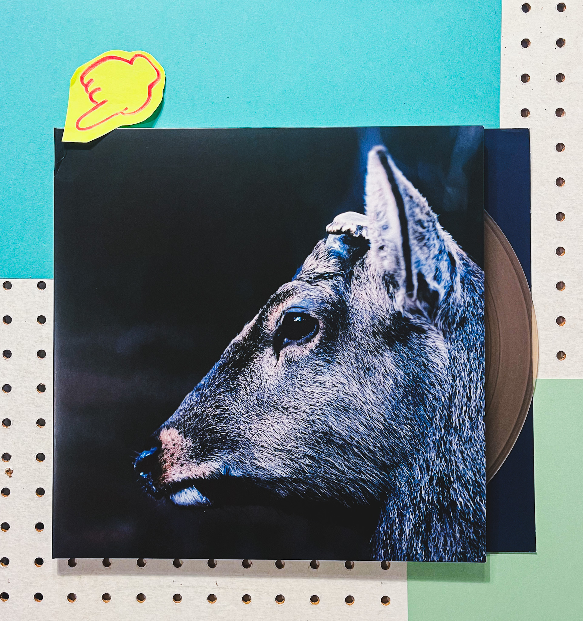 Product shots of Topshelf Records - 2023 Damaged Sale