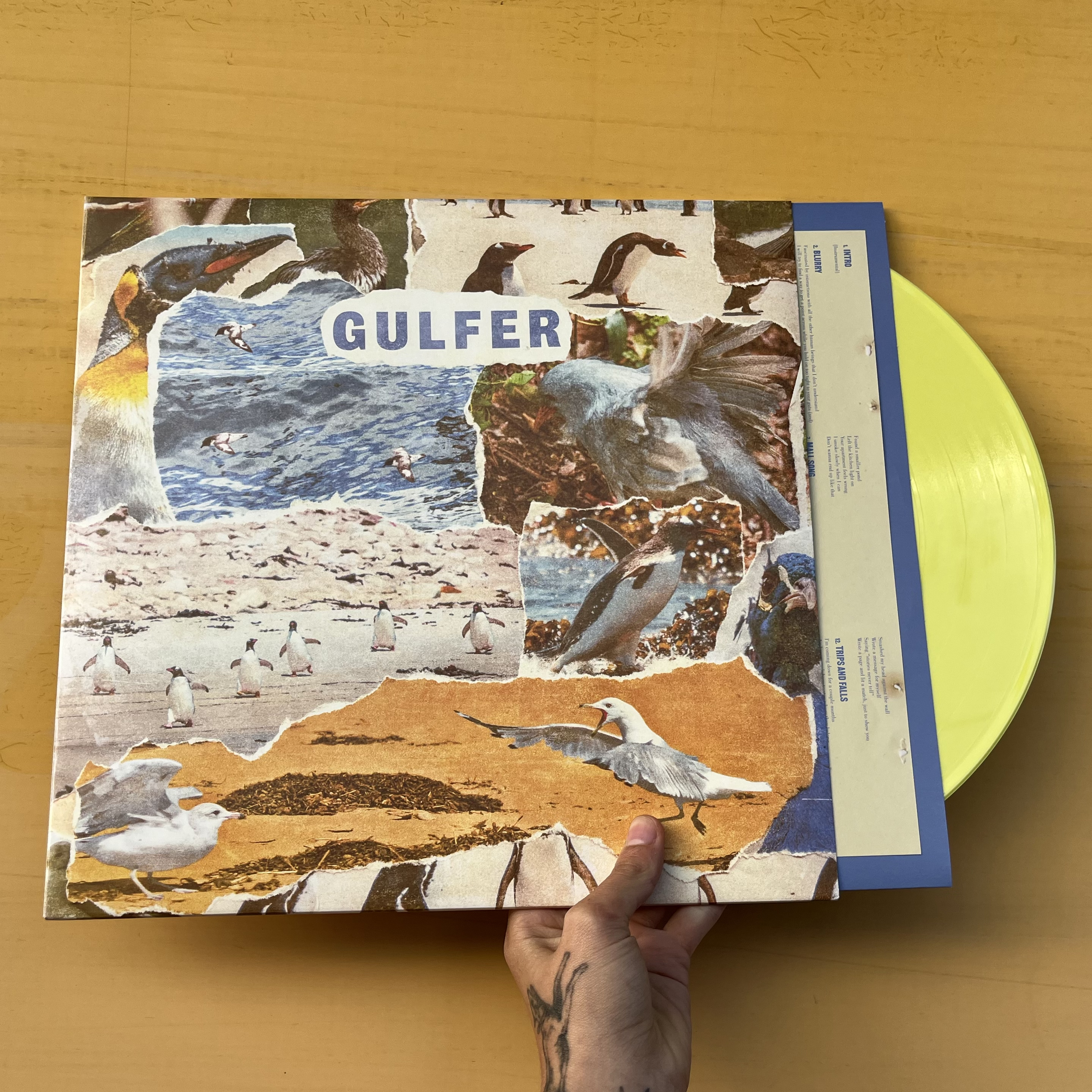 Product shots of Gulfer - S/T