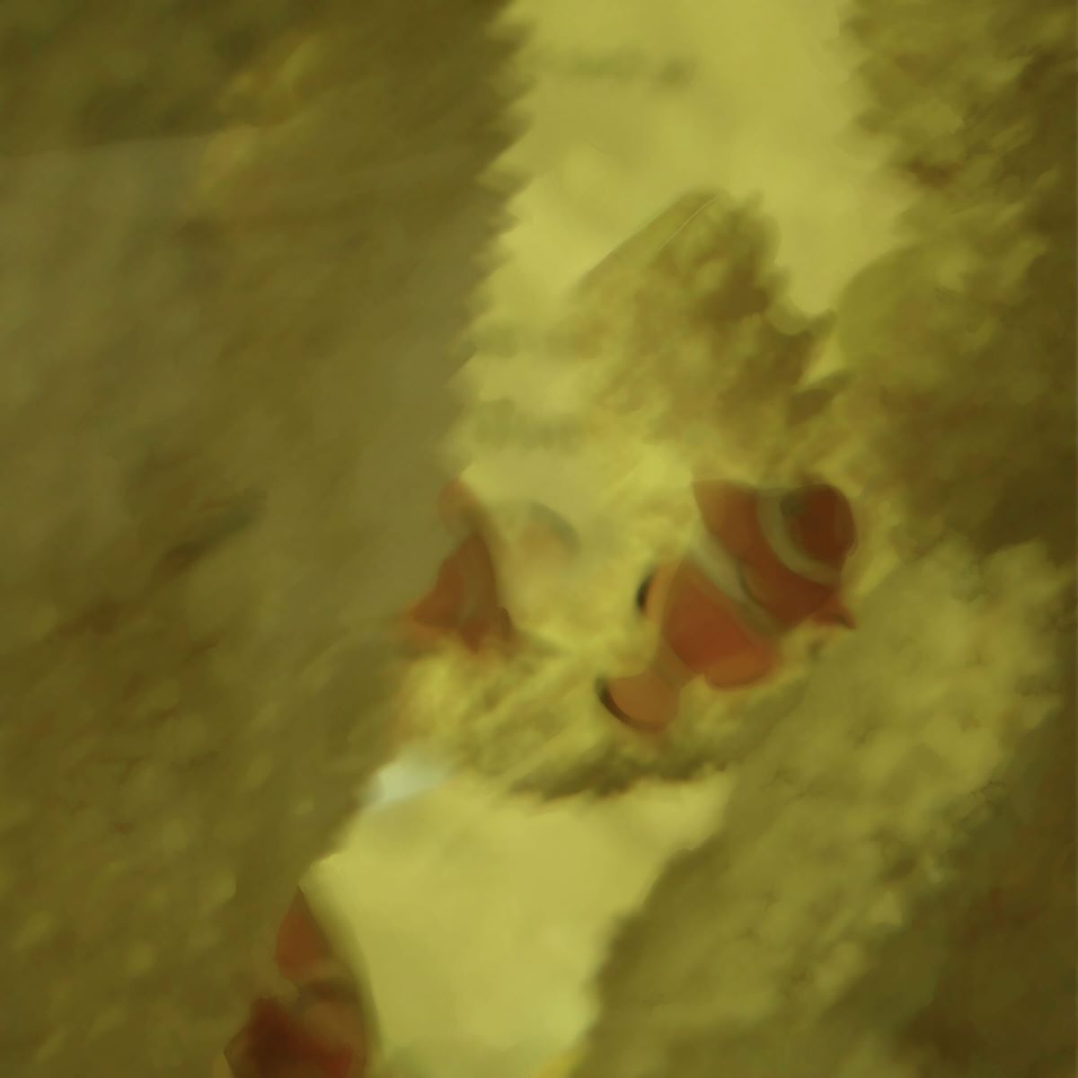 Product shots of blue smiley - fishhh