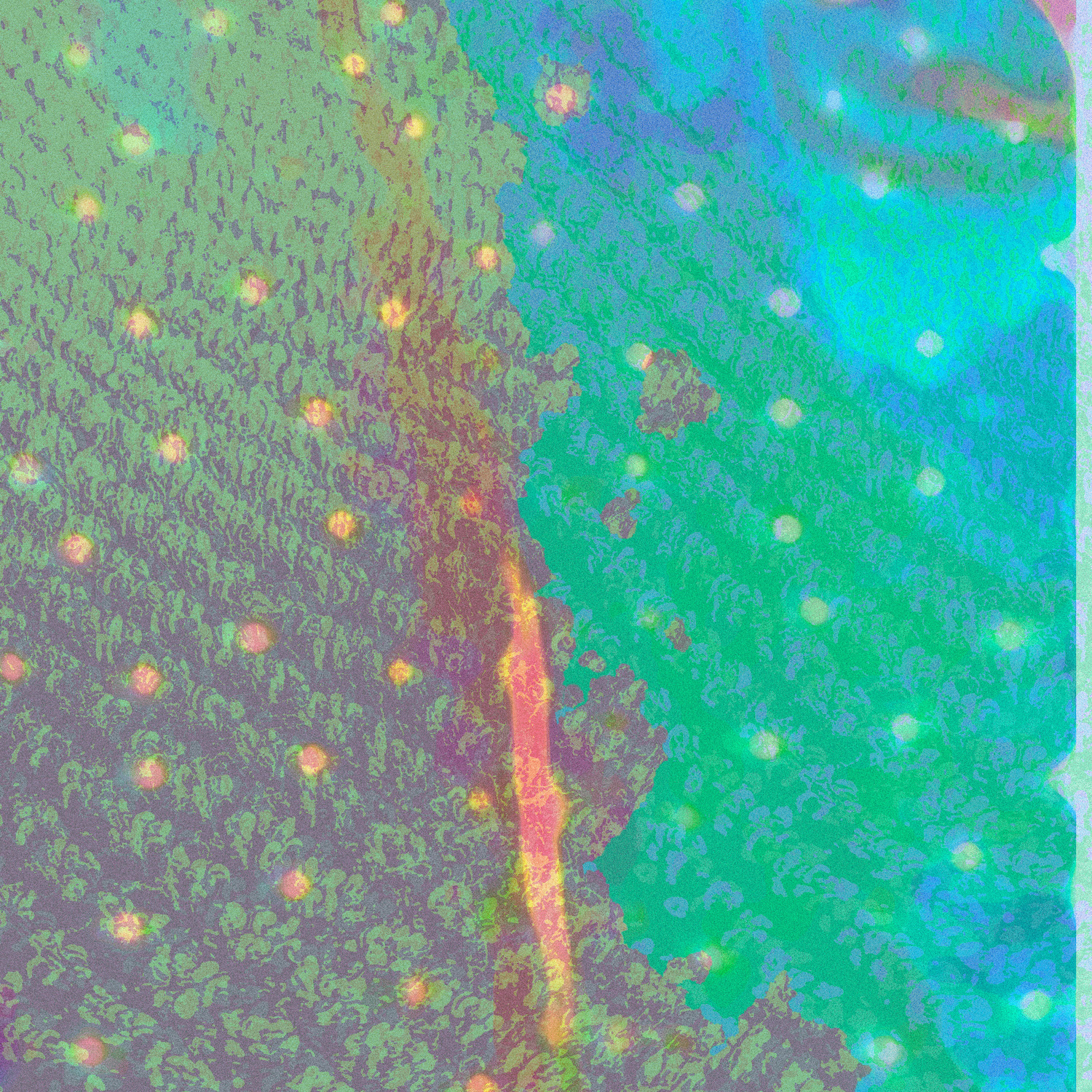 Product shots of Gulfer - Third Wind