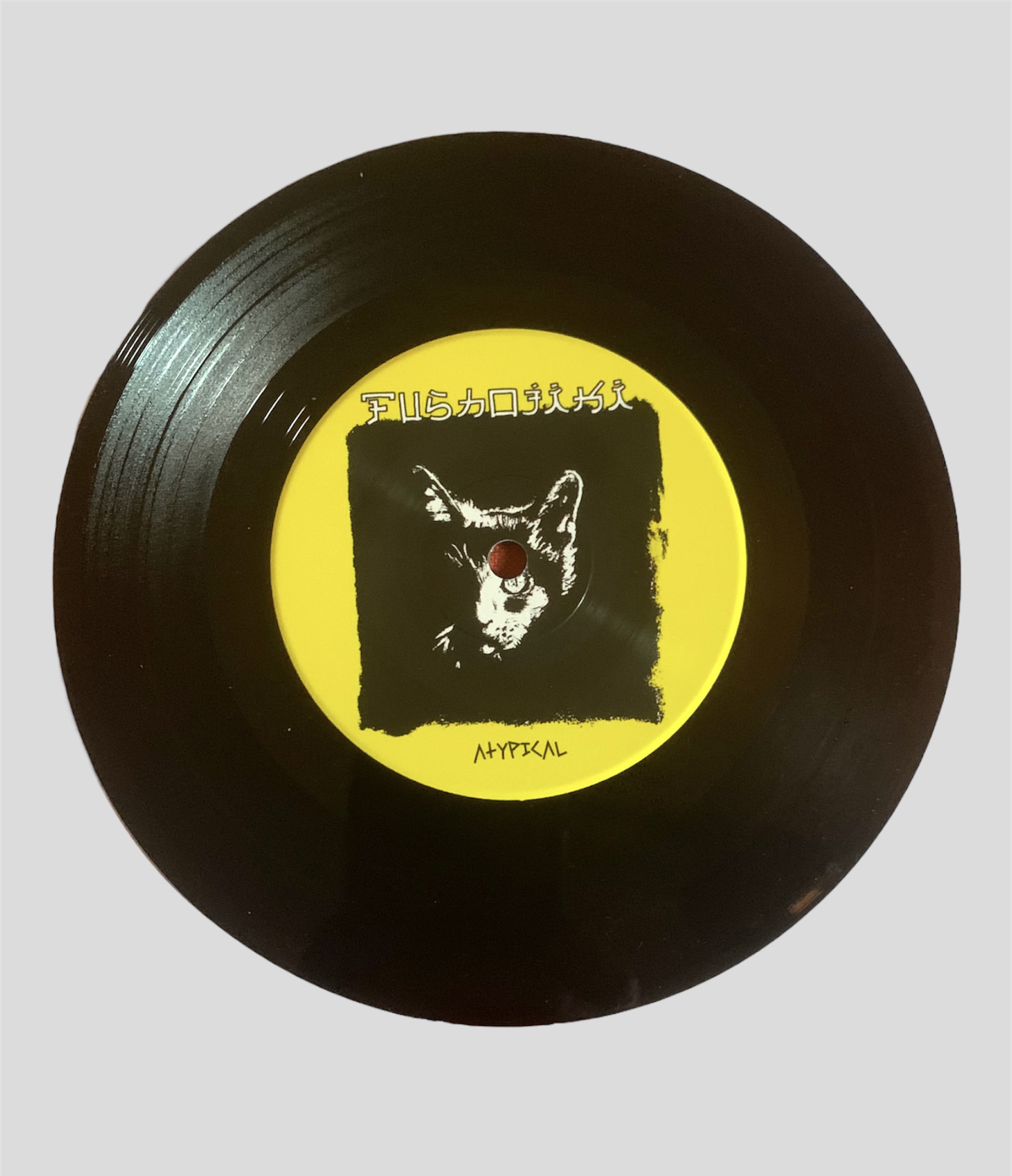 FUSHOJIKI - Atypical 7