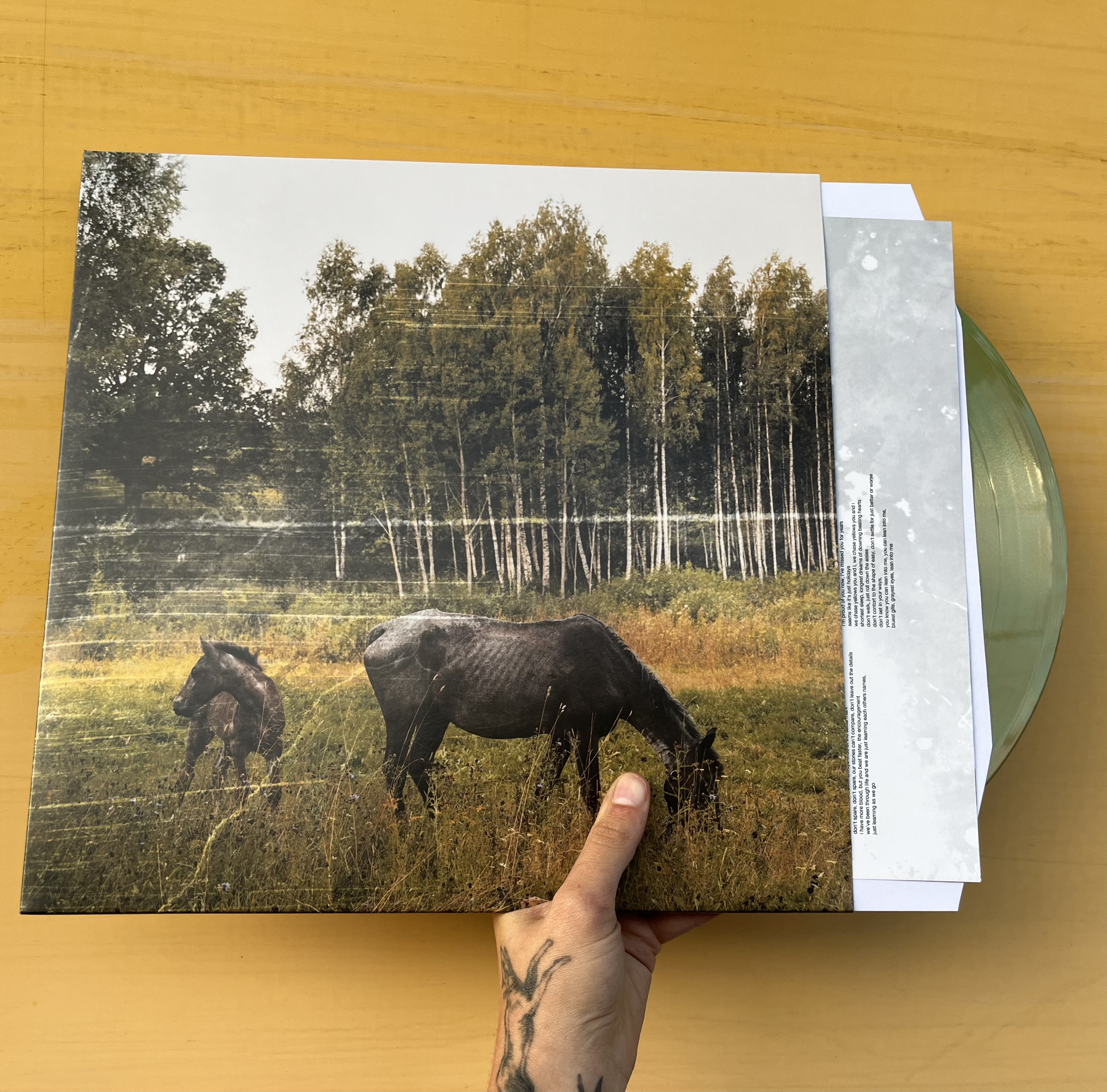Product shots of Pianos Become the Teeth - Old Pride
