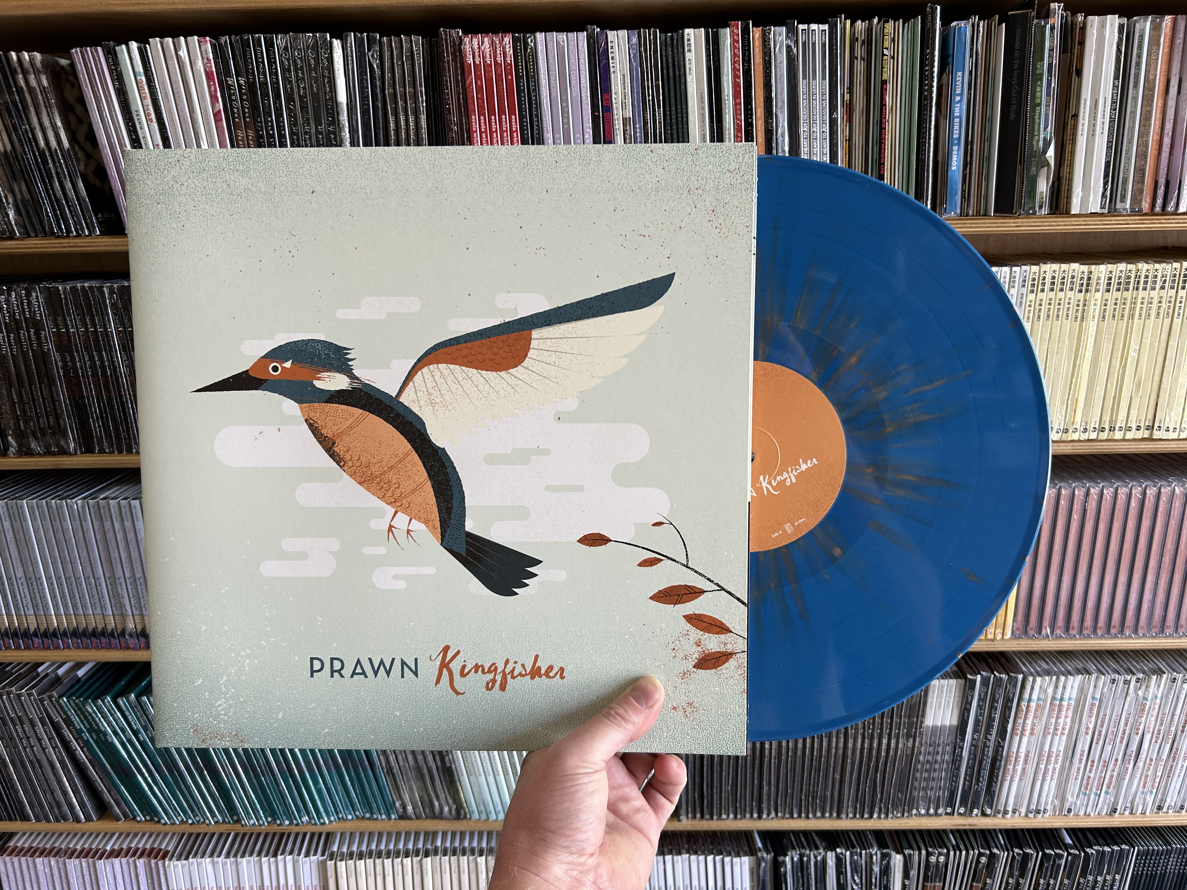 Product shots of Prawn - Kingfisher