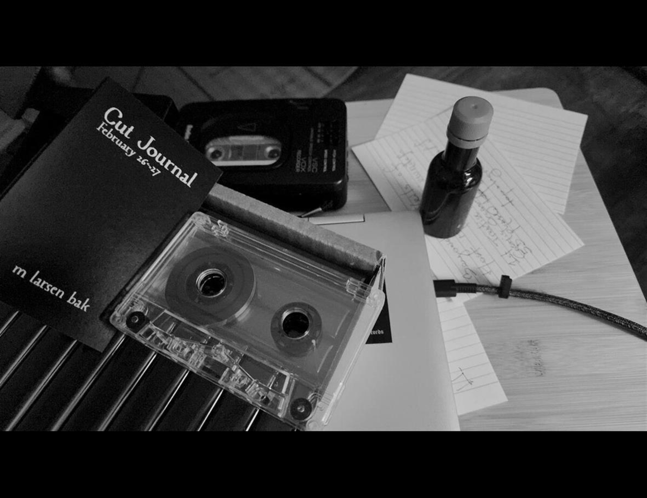 Cut Journal February 26-27