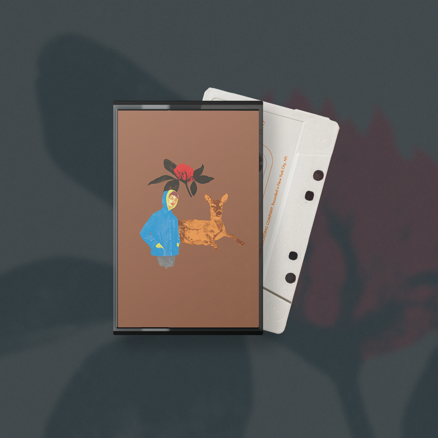 Product shots of Peel Dream Magazine - Rose Main Reading Room