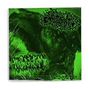 Endocarditis / Human Stench Rests In The Morgue 'Goregasmic Hymns Of Decomposition (Split)' CD