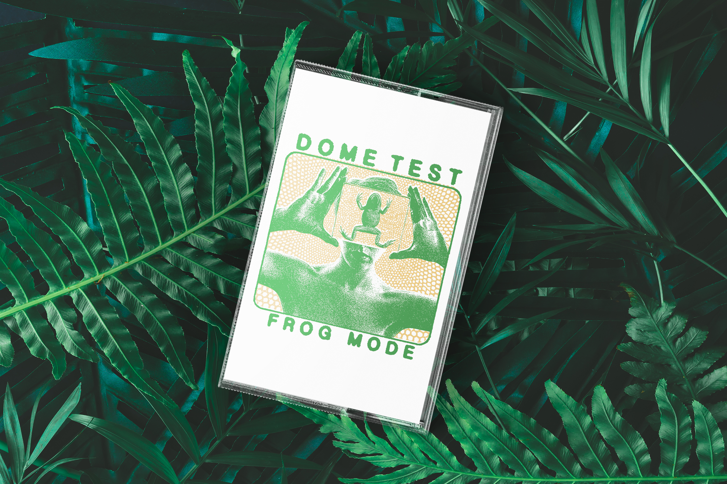 Dome Test - Frog Mode Cassette LPR 002