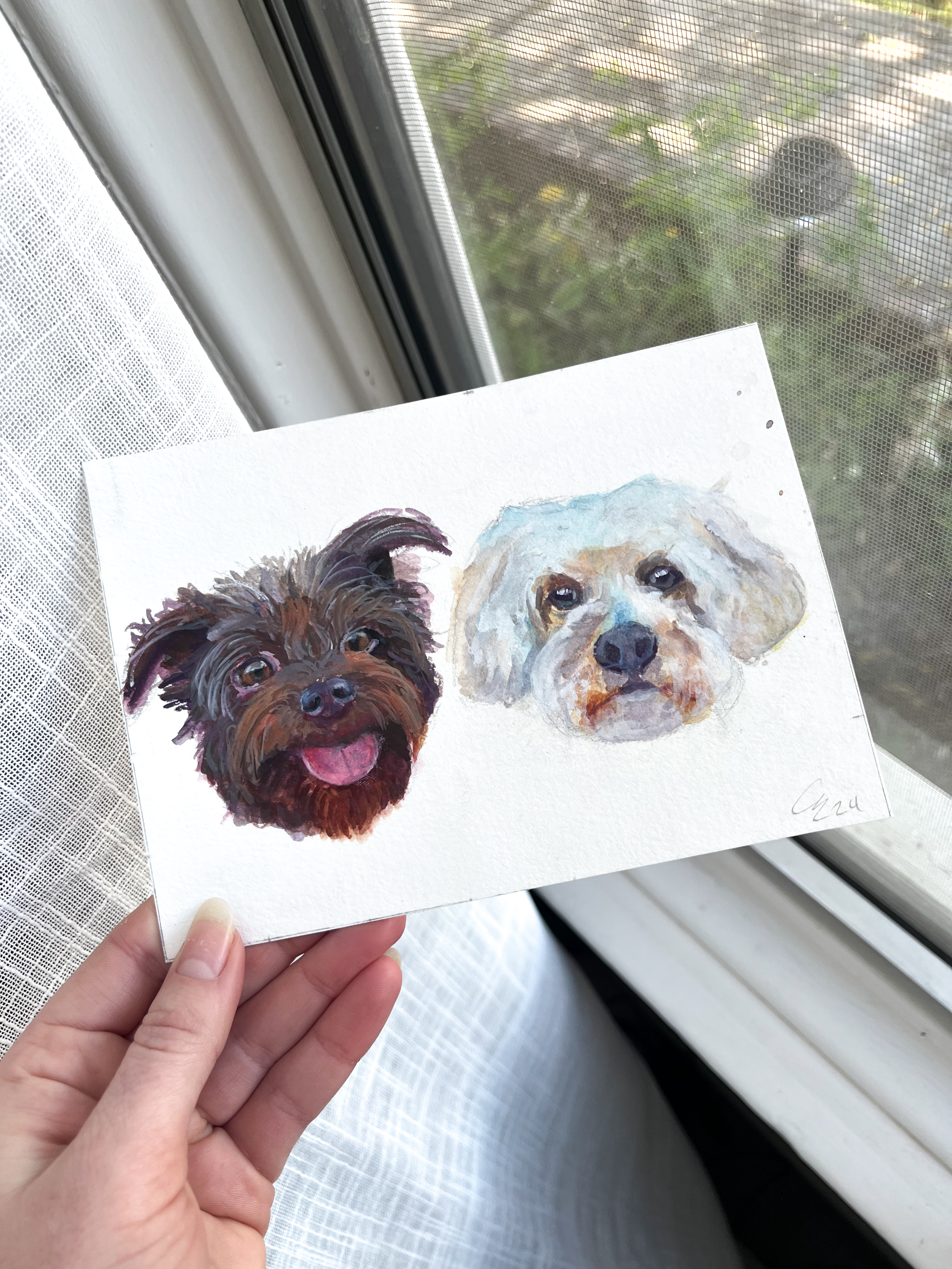 5x7 Pet Portraits